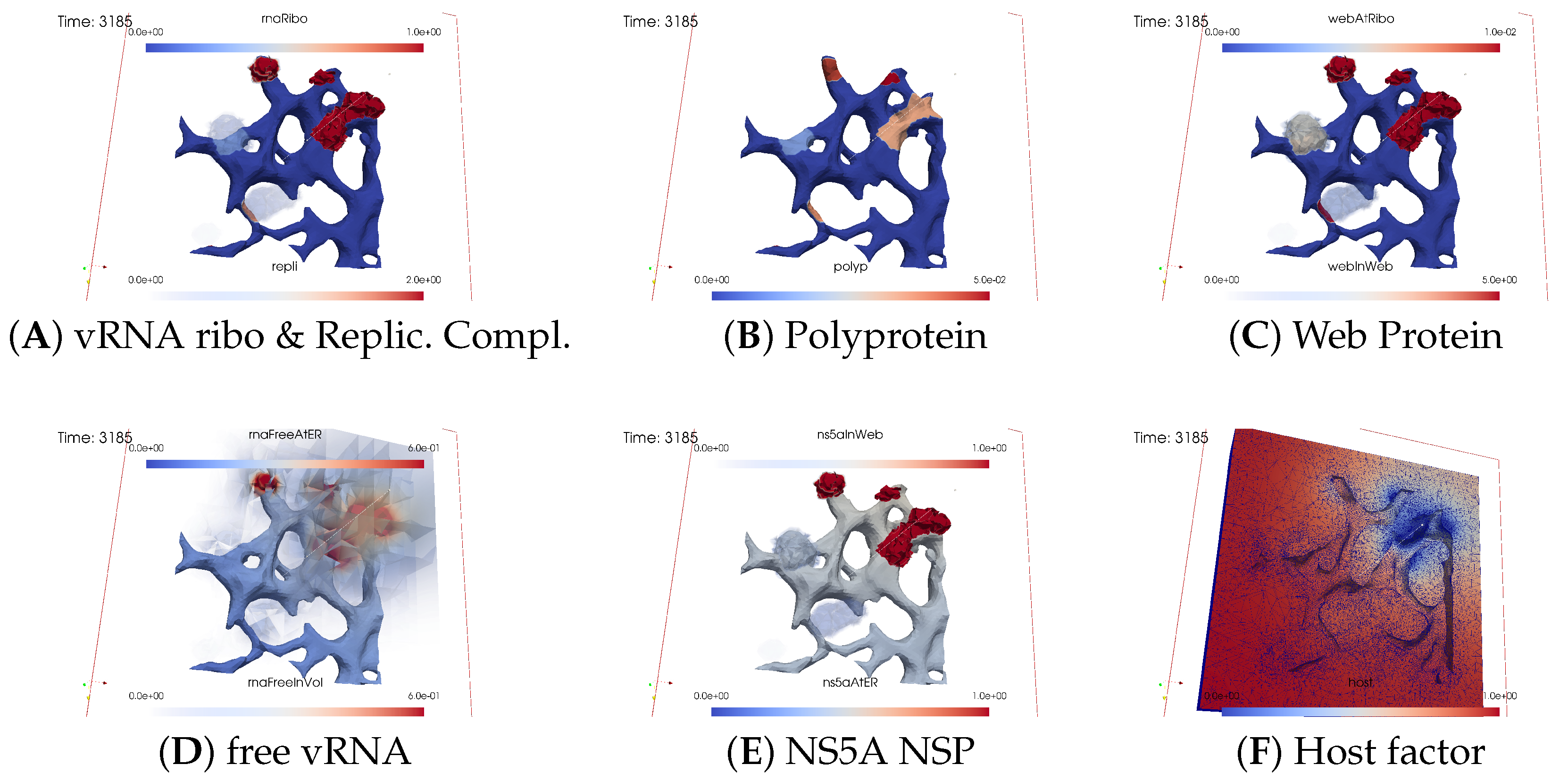 Viruses 16 00840 g008