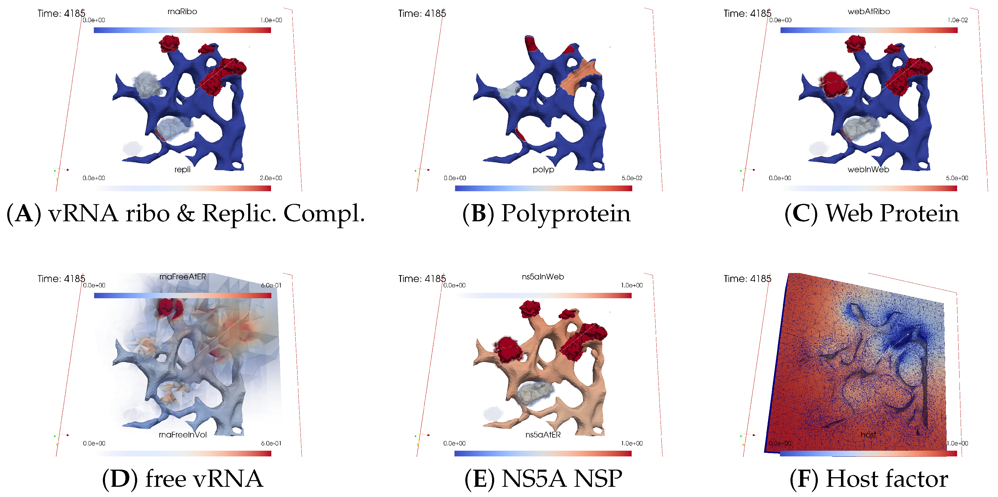 Viruses 16 00840 g009