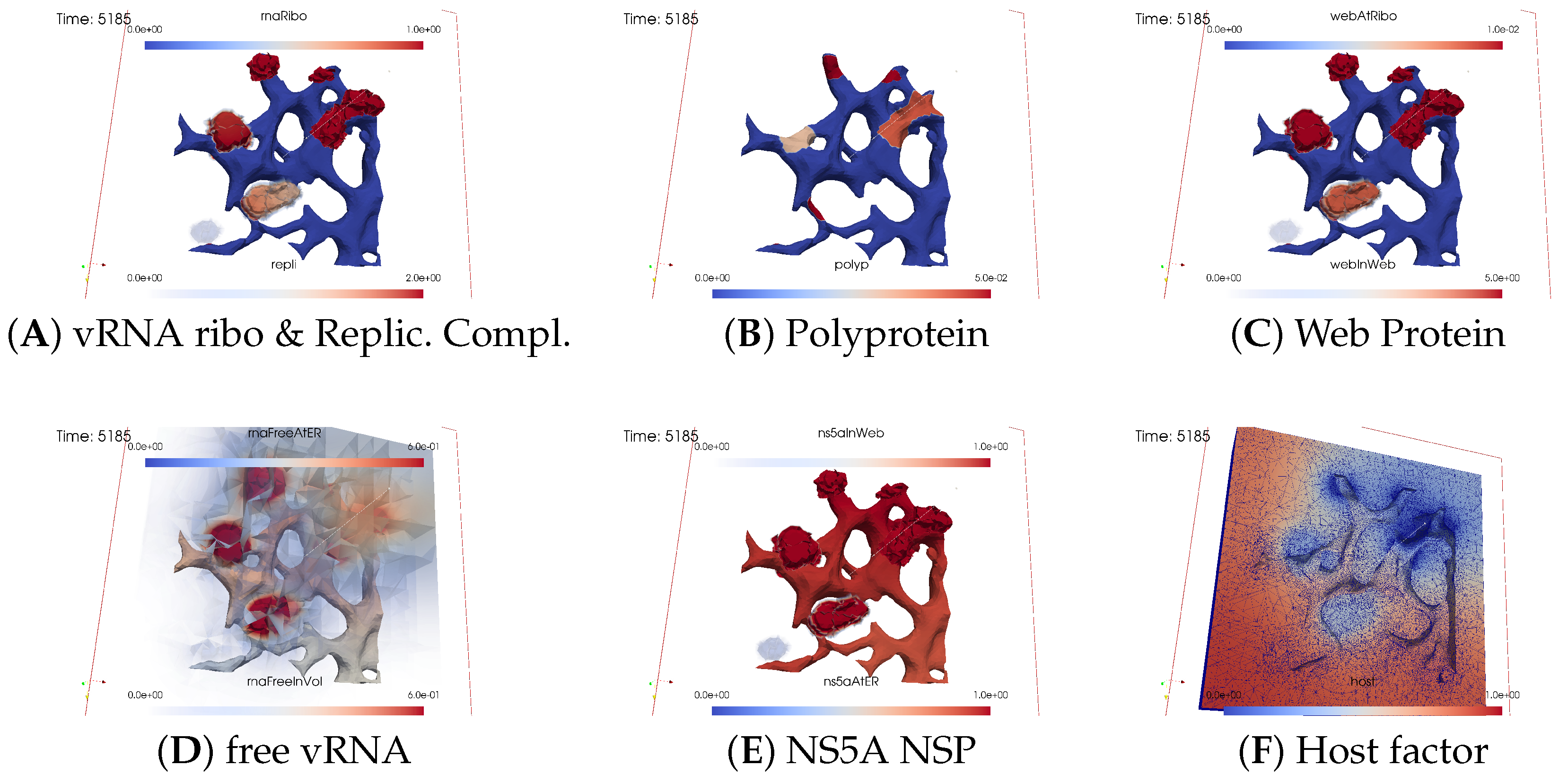 Viruses 16 00840 g010