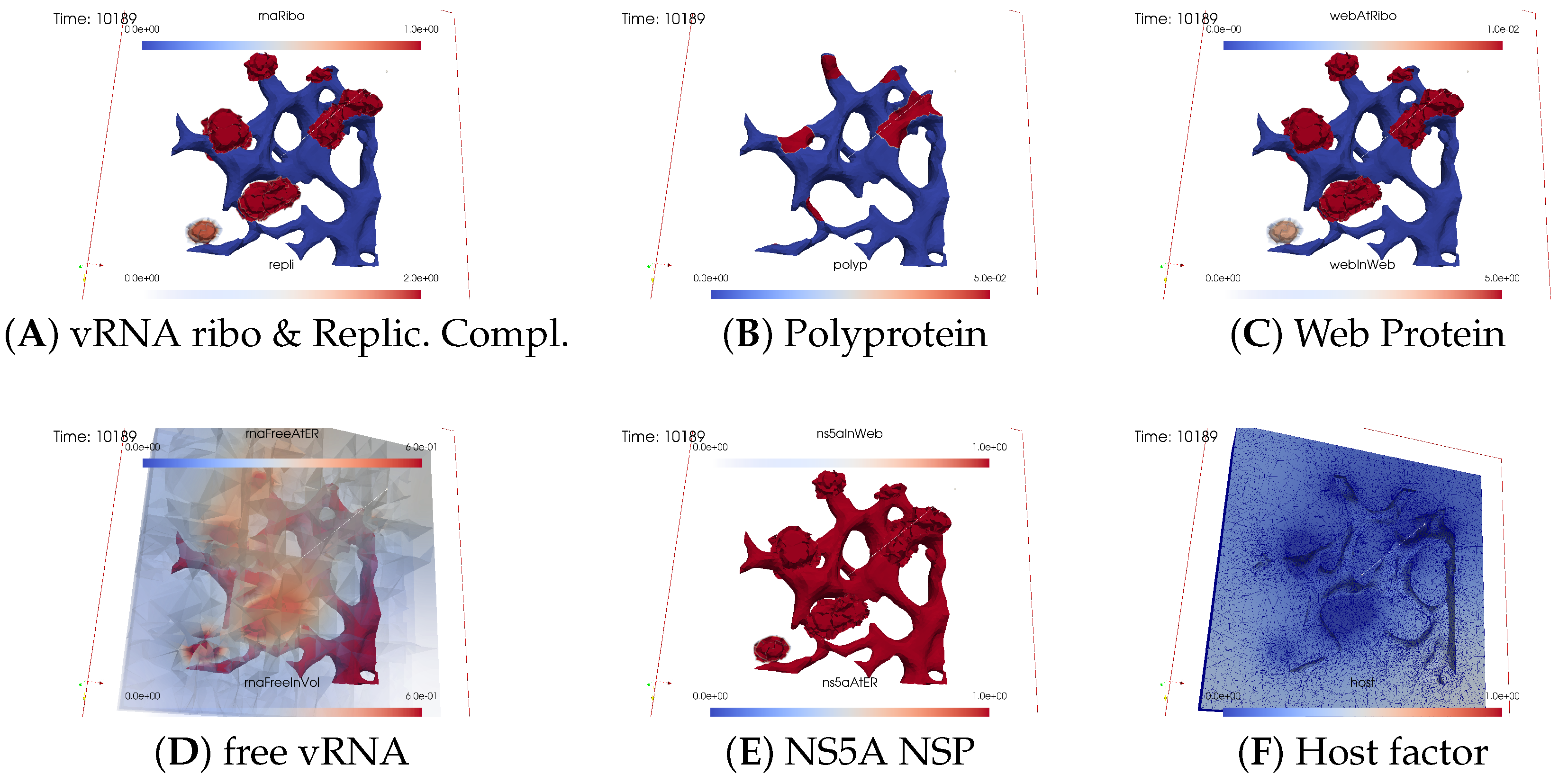 Viruses 16 00840 g012