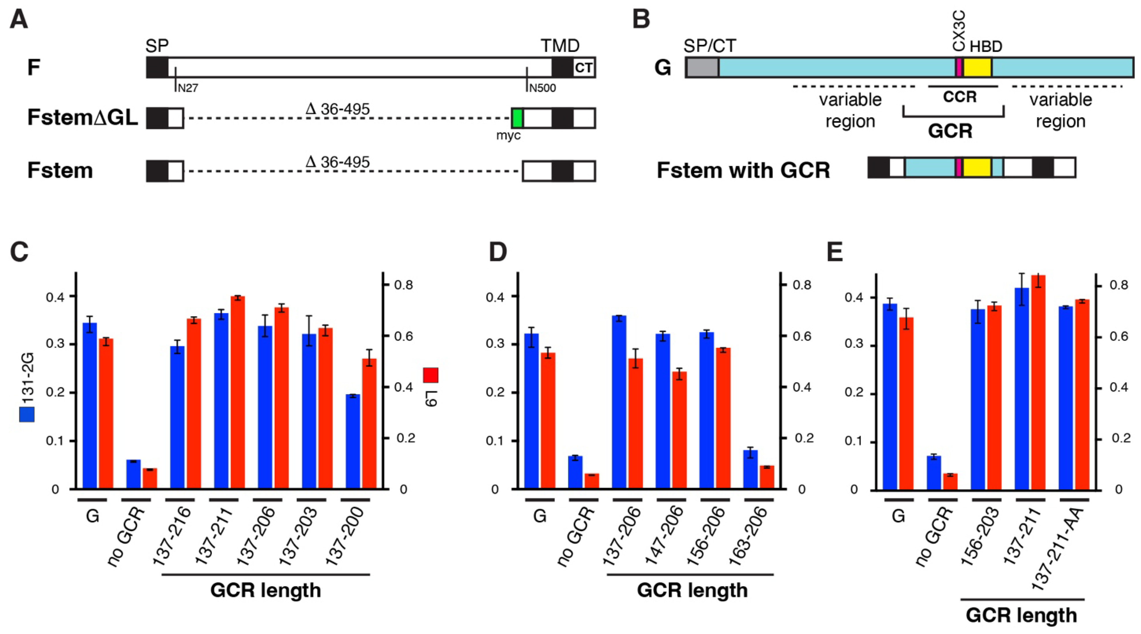 Viruses 16 00843 g001 Viruses 16 00843 g001