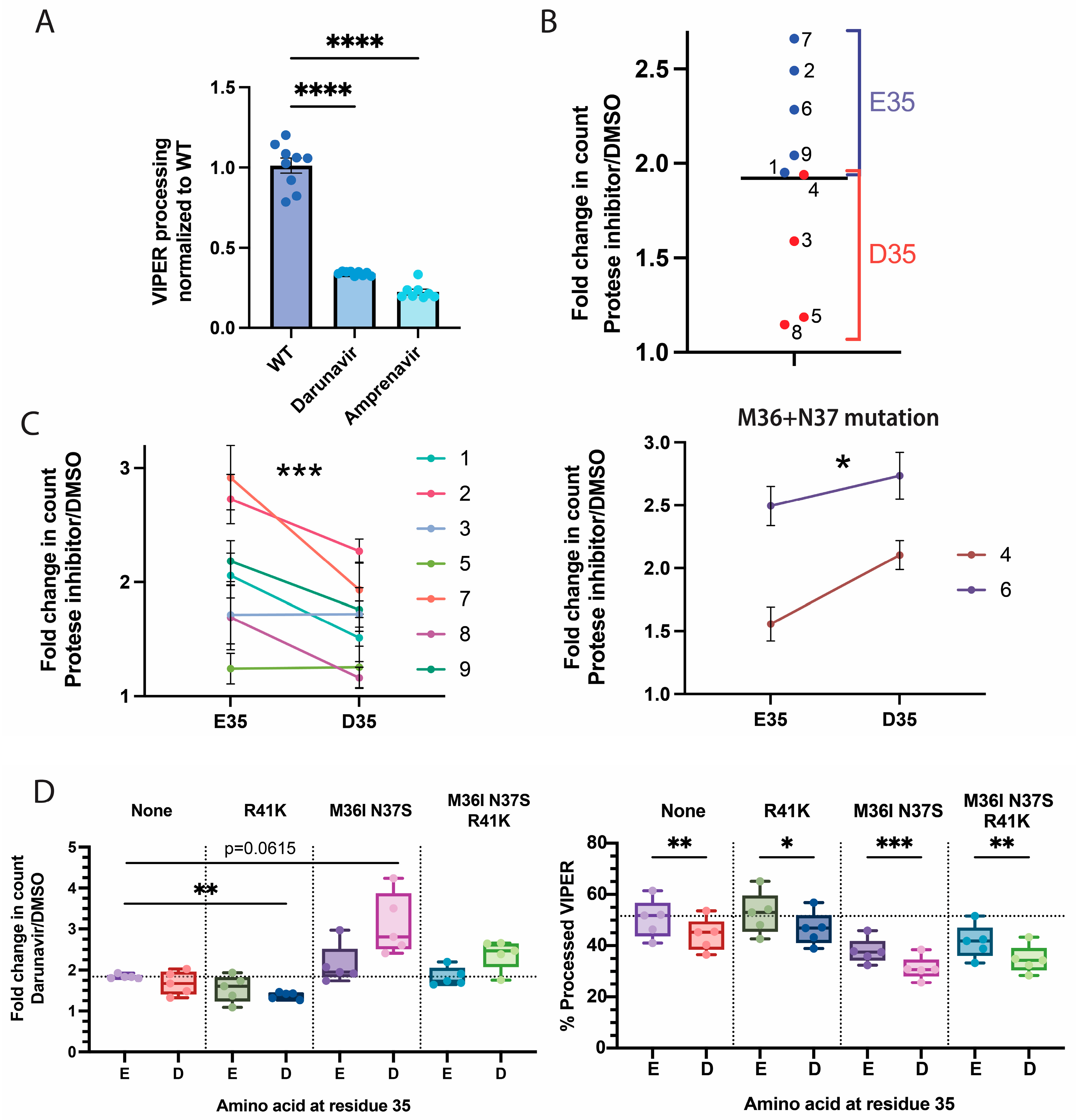 Viruses 16 00849 g005