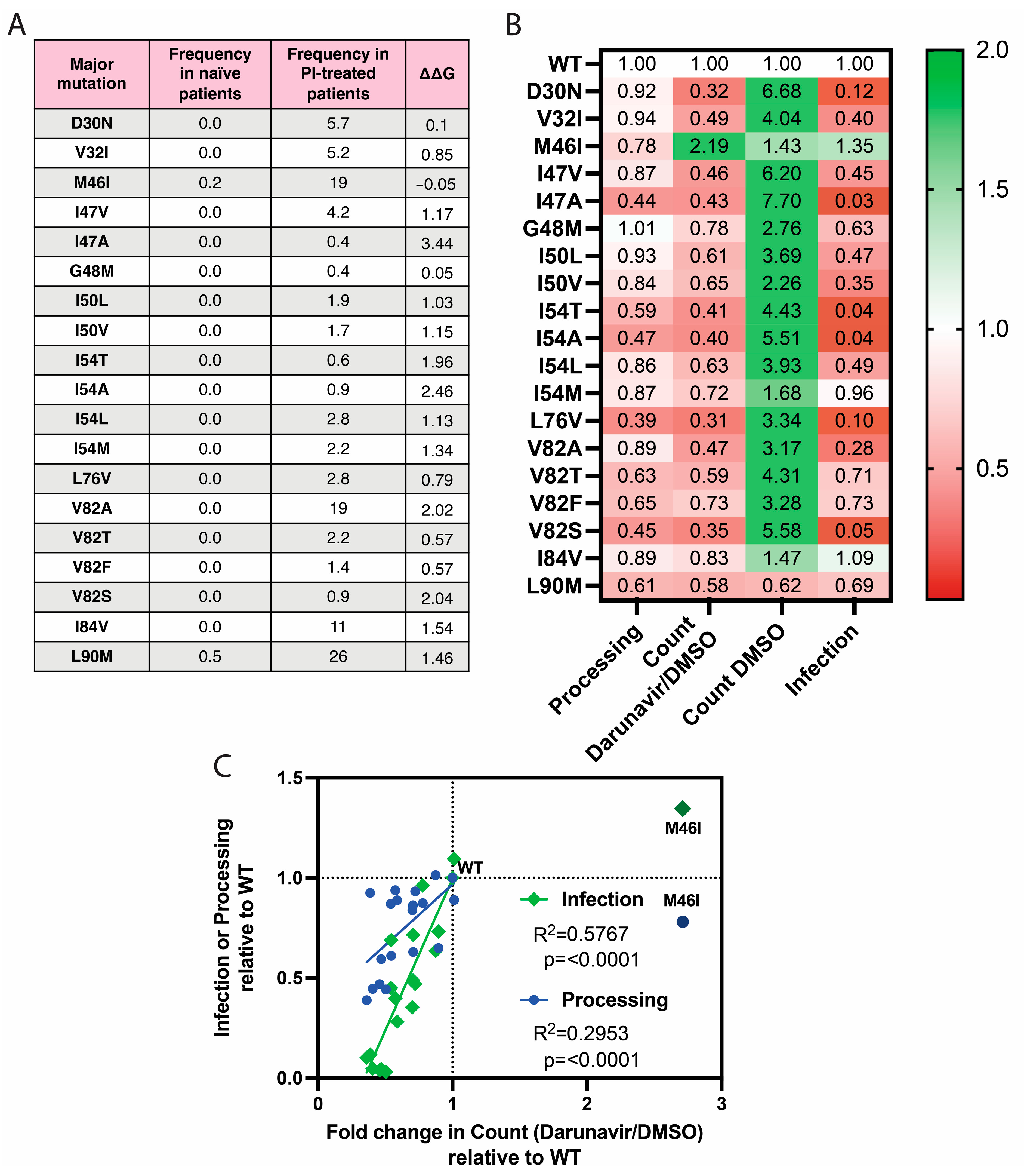 Viruses 16 00849 g006
