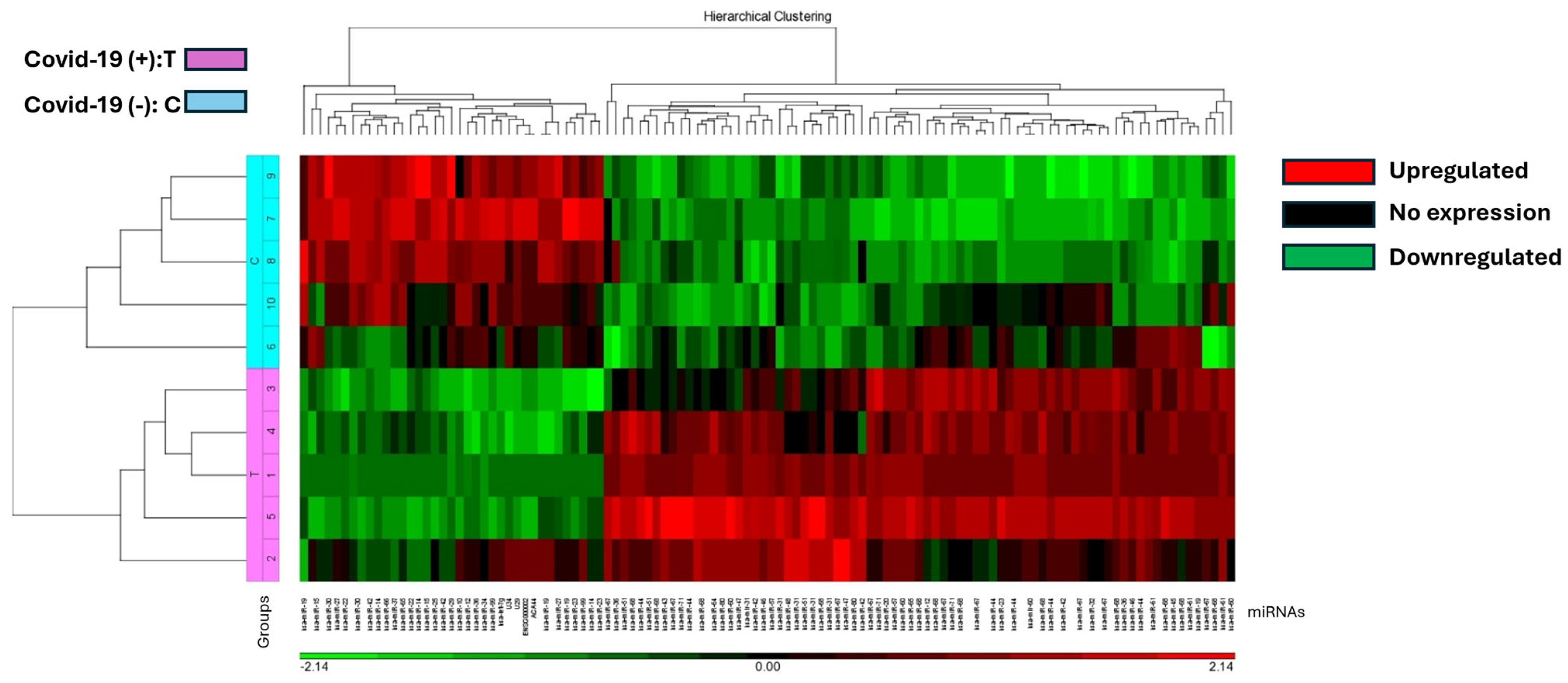 Viruses 16 00853 g001