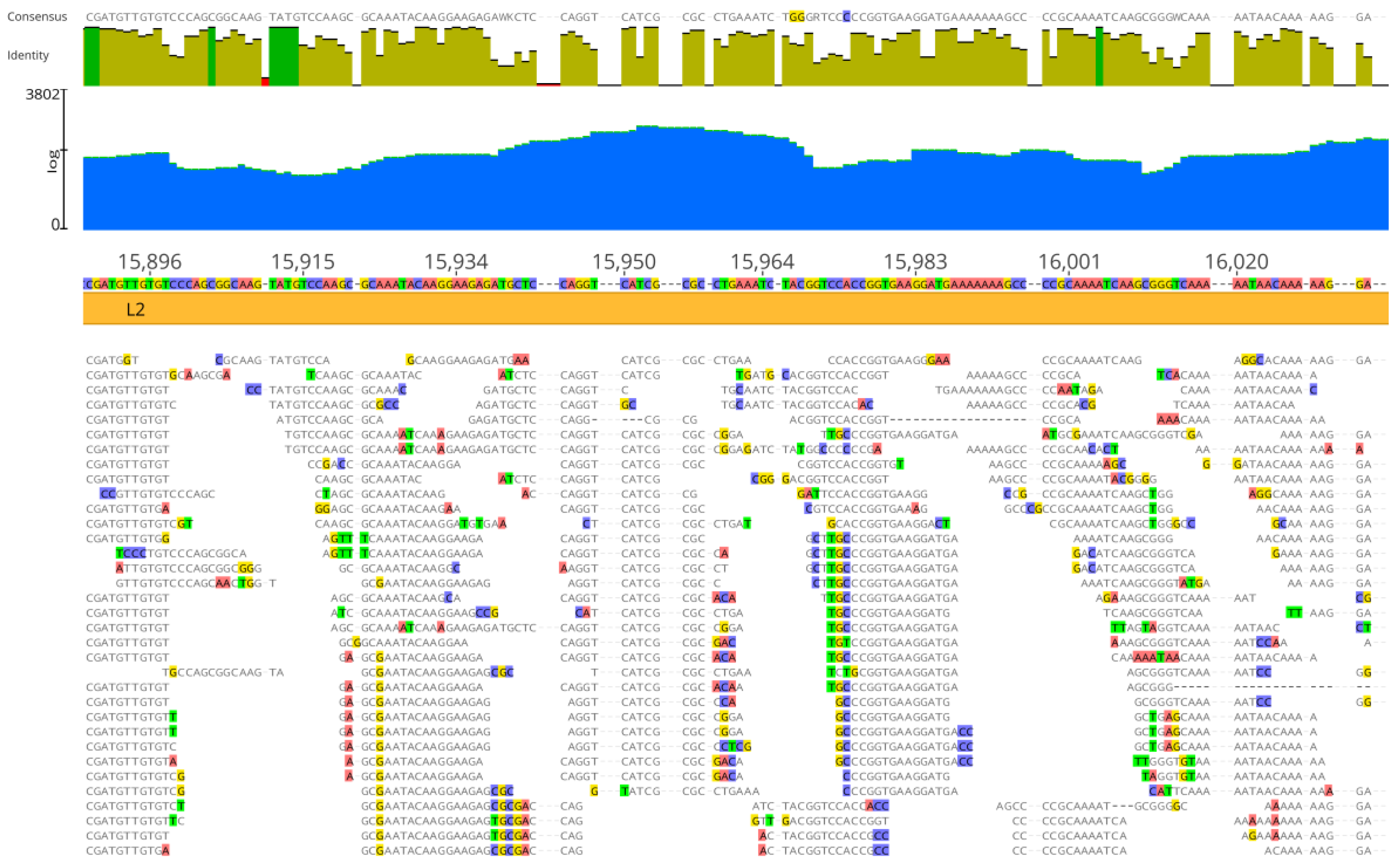 Viruses 16 00856 g002
