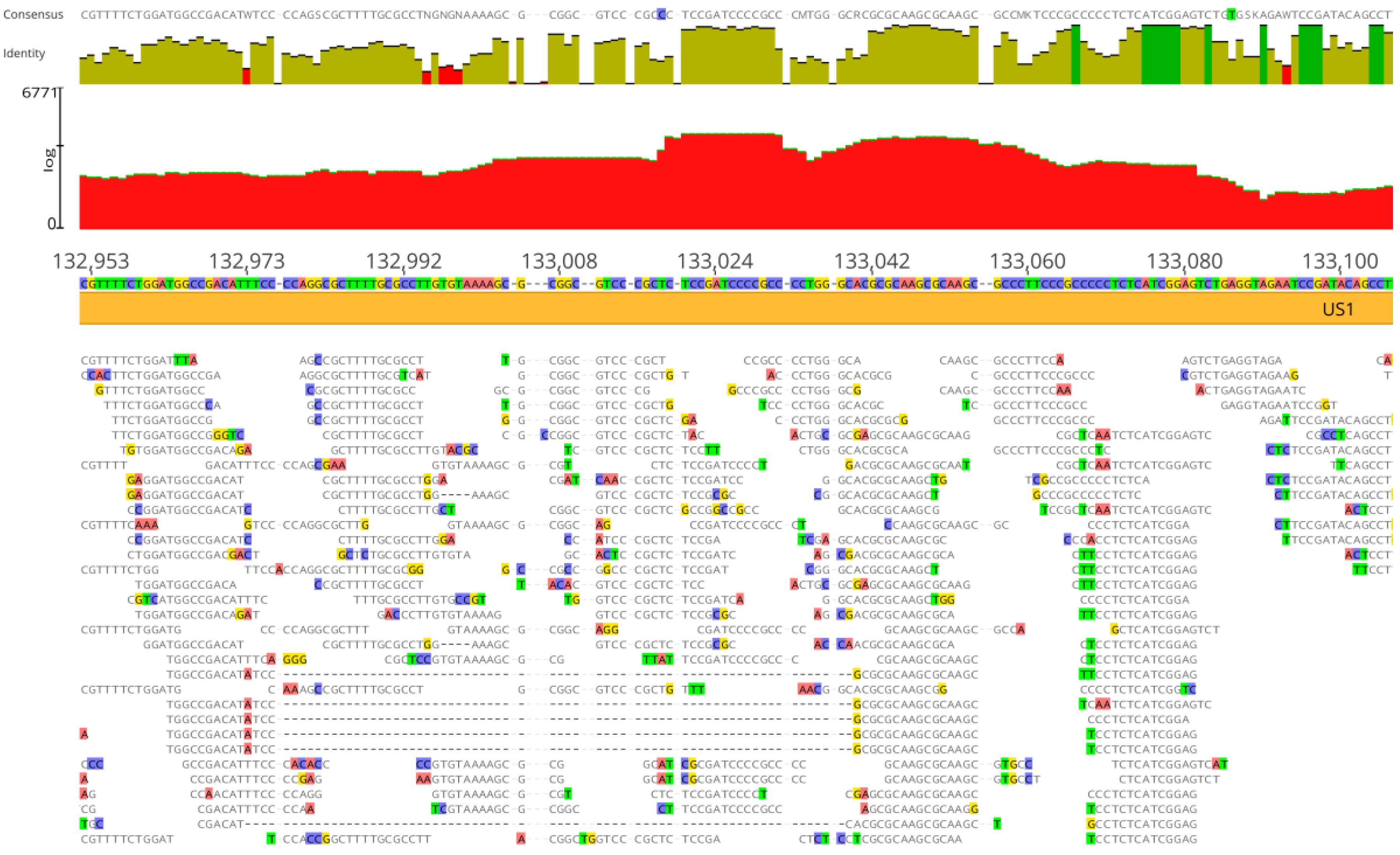 Viruses 16 00856 g003