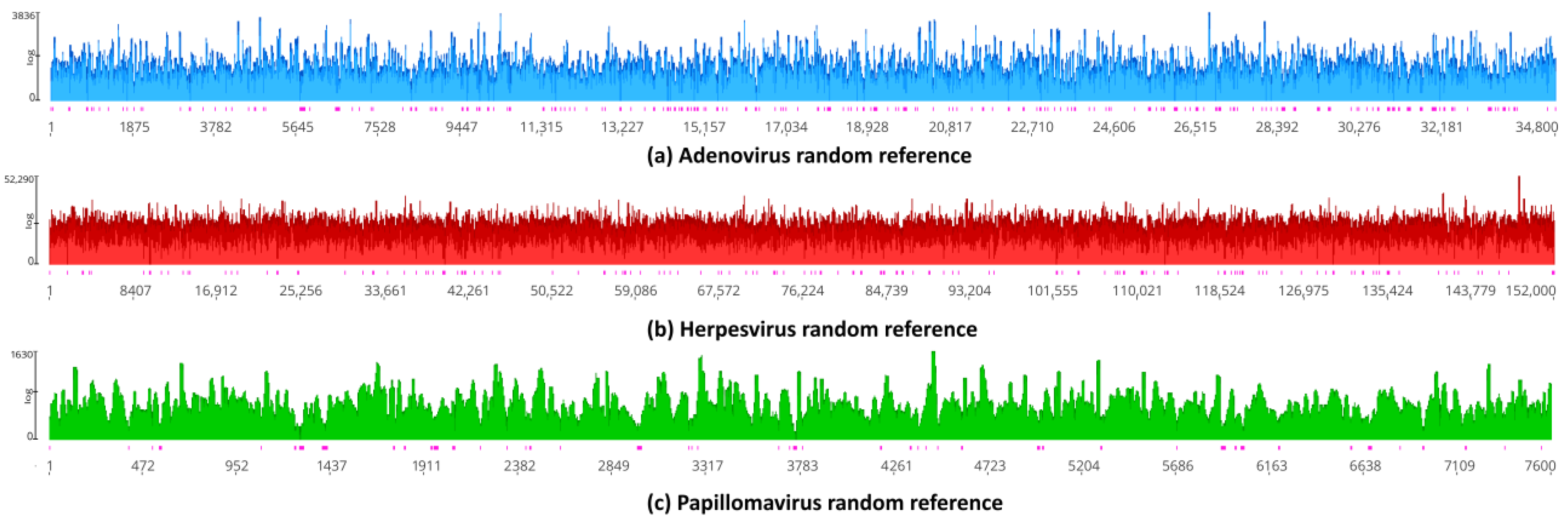 Viruses 16 00856 g009