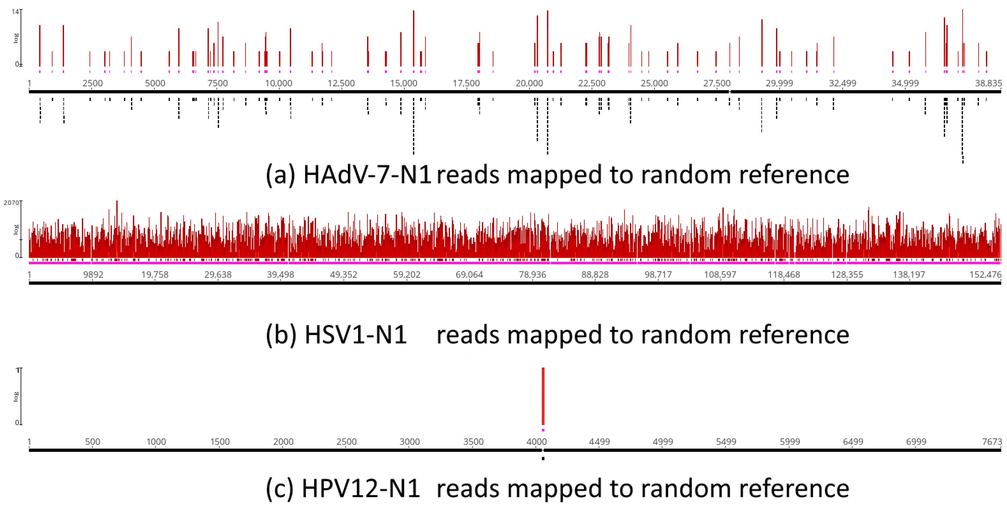 Viruses 16 00856 g011