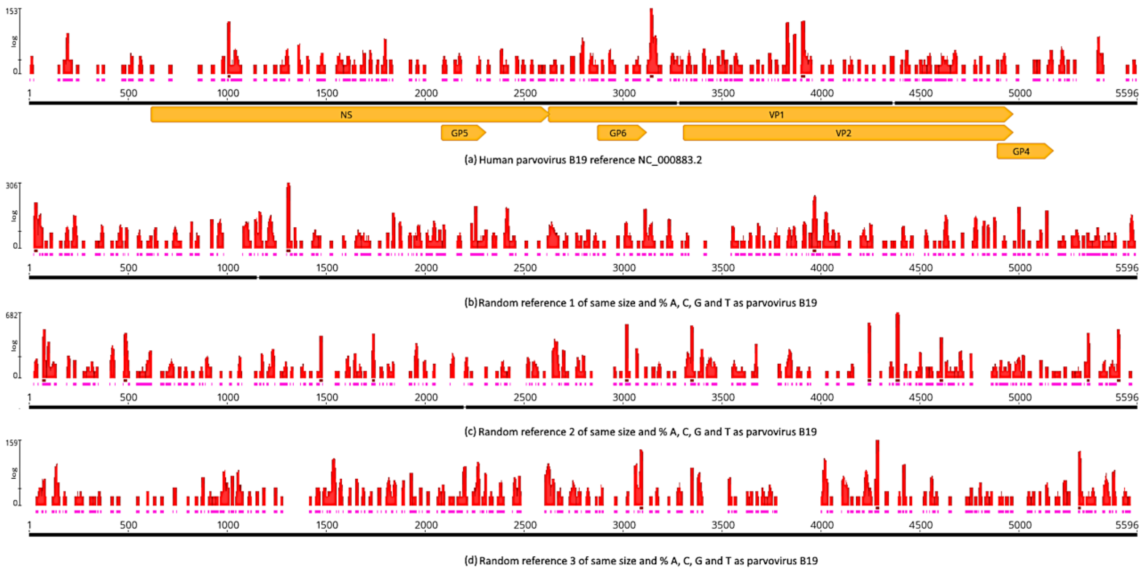 Viruses 16 00856 g012