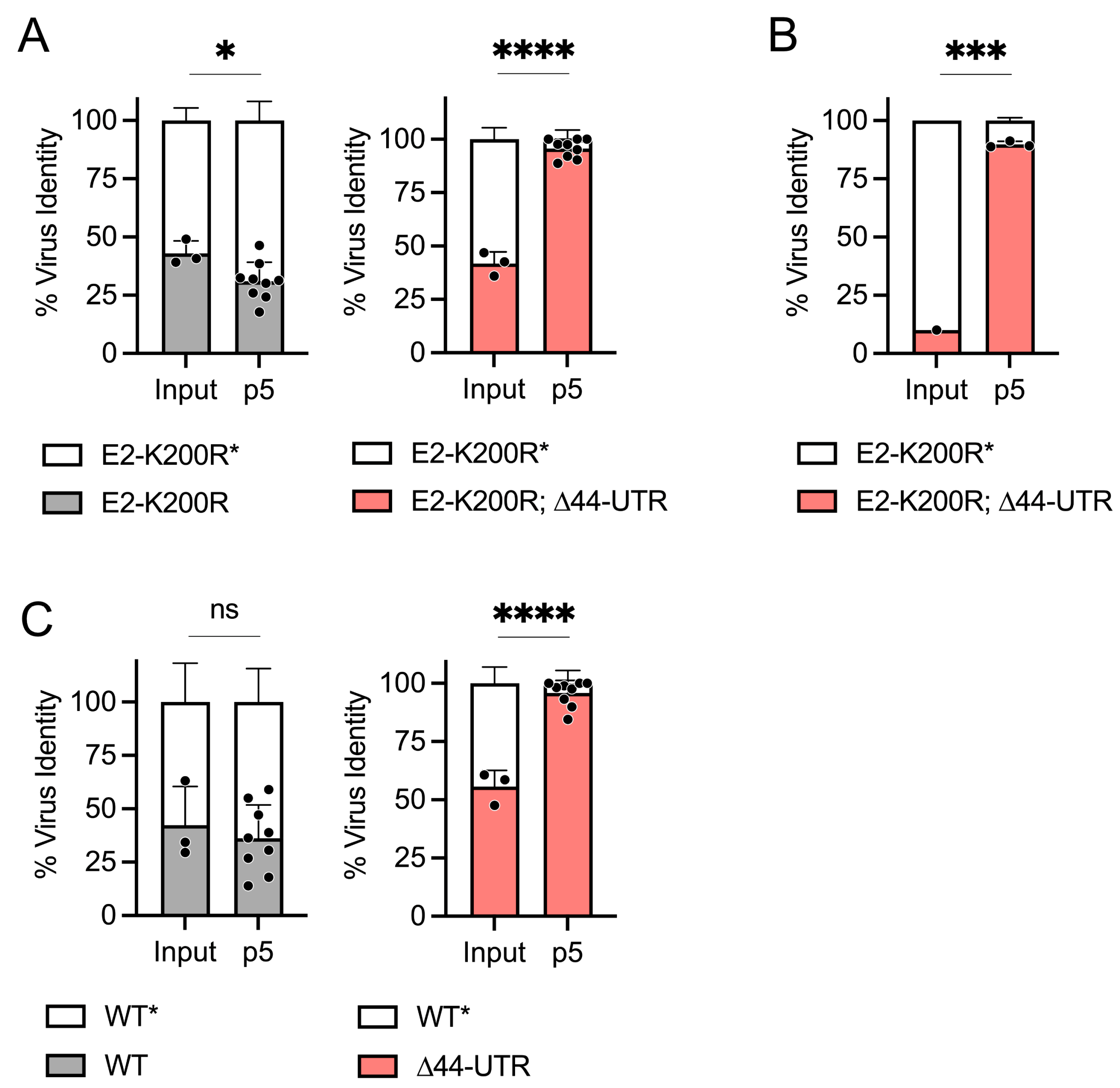 Viruses 16 00861 g002