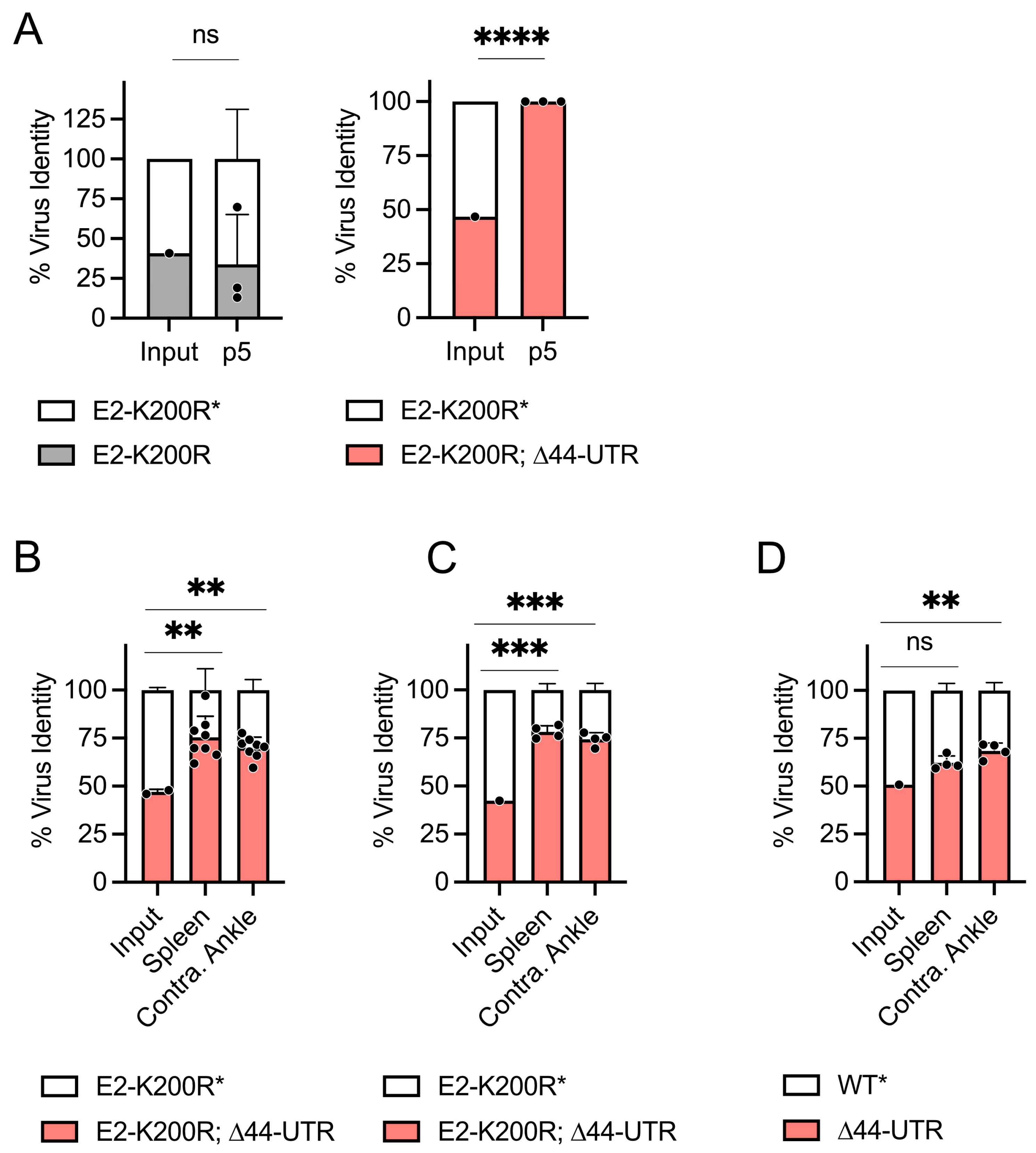Viruses 16 00861 g004