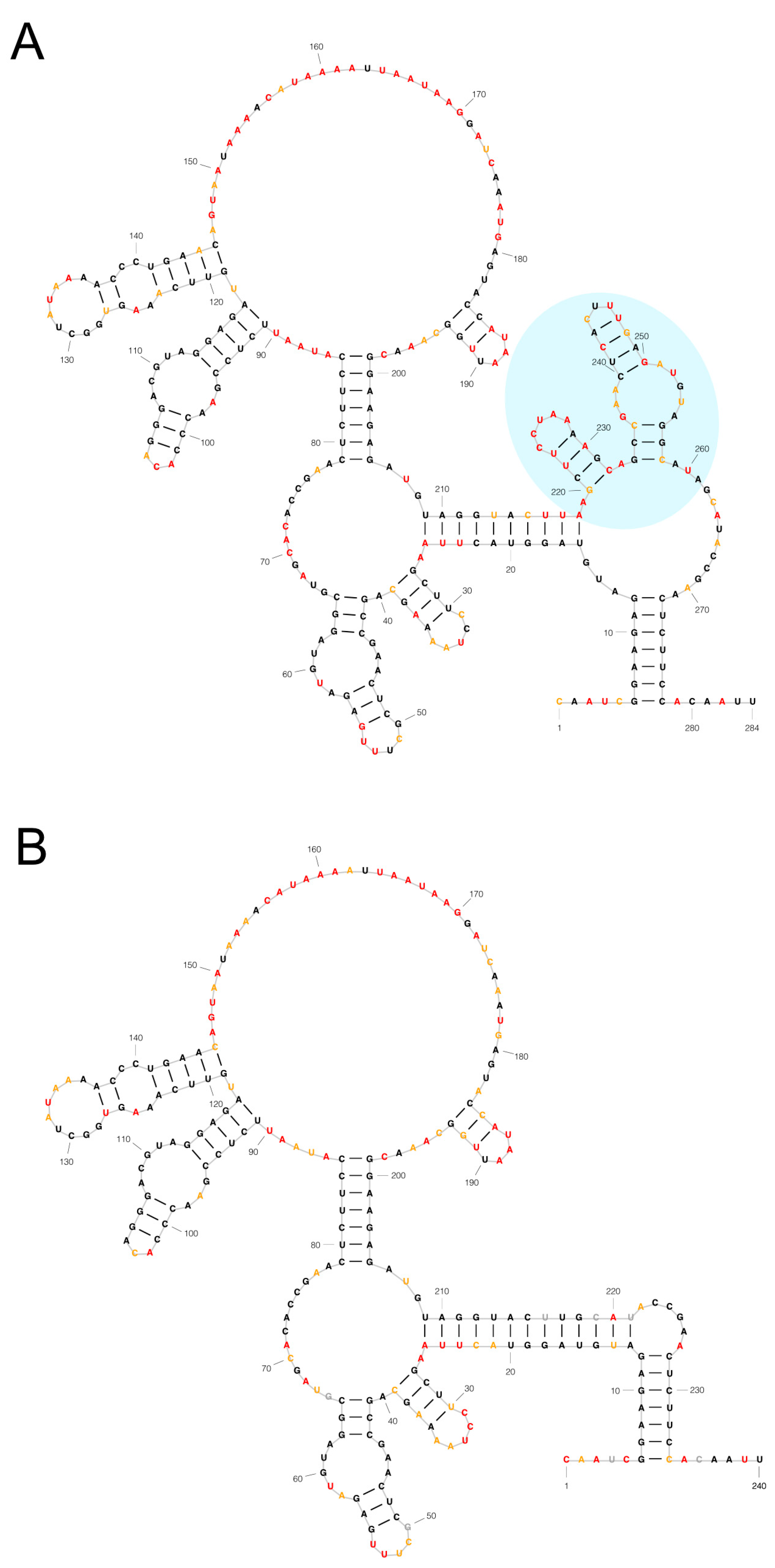 Viruses 16 00861 g005