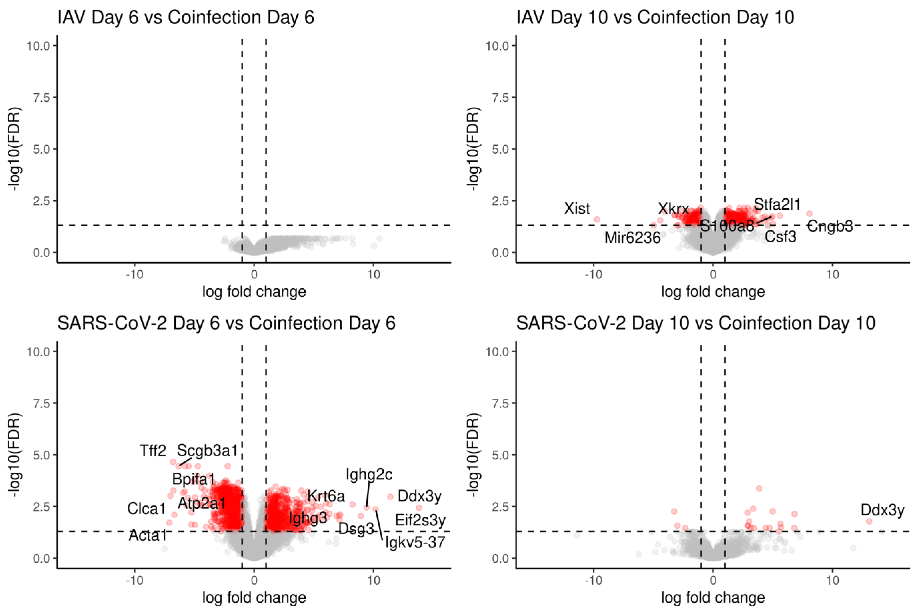 Viruses 16 00863 g011