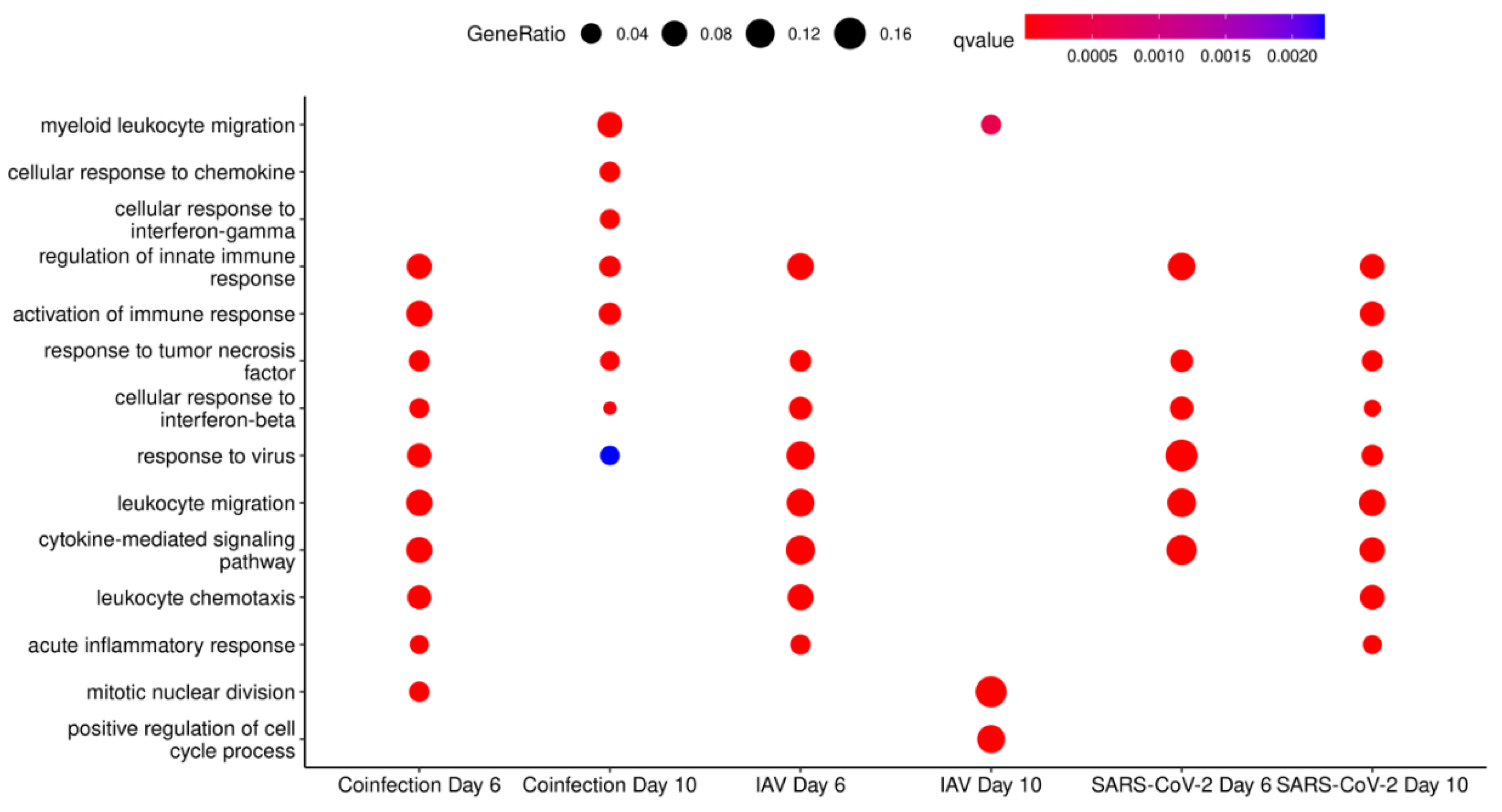 Viruses 16 00863 g012