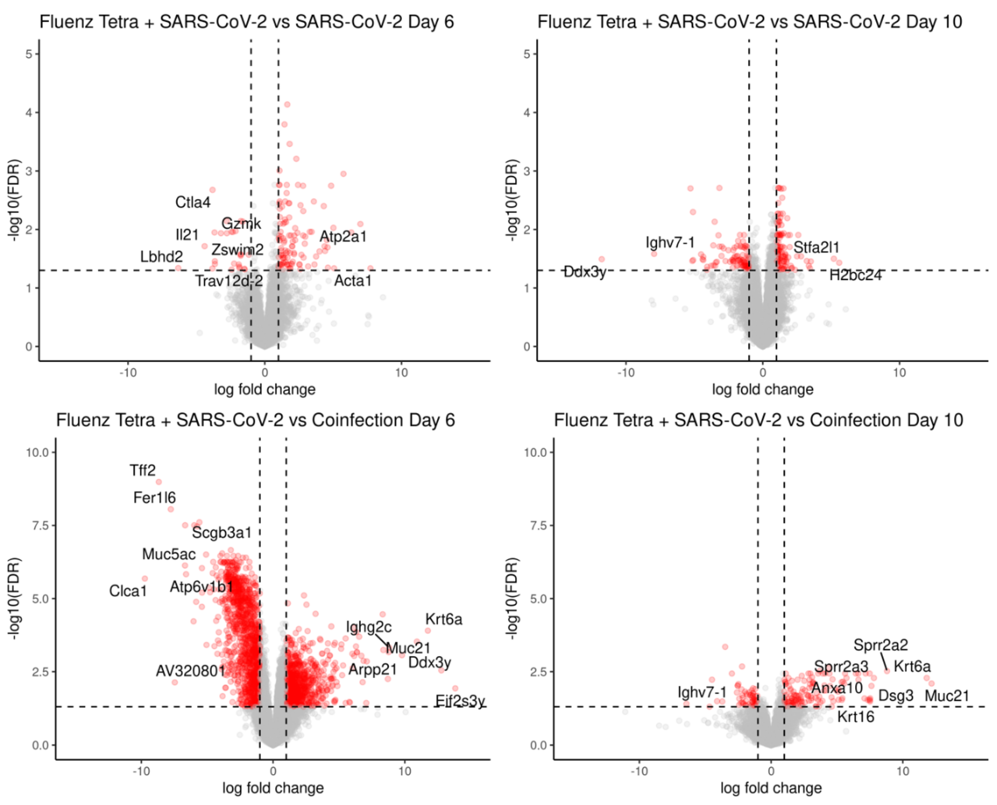 Viruses 16 00863 g013