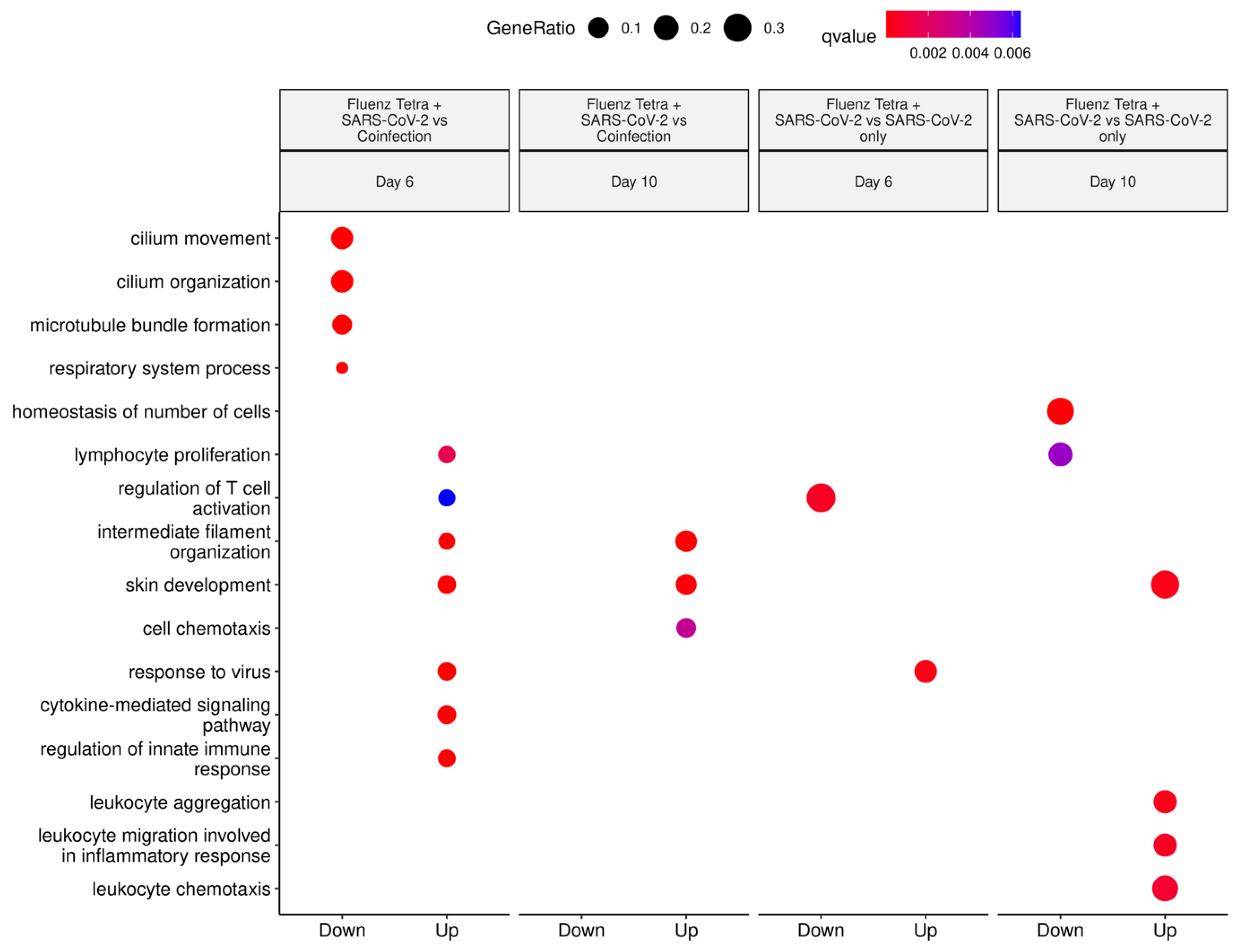 Viruses 16 00863 g014