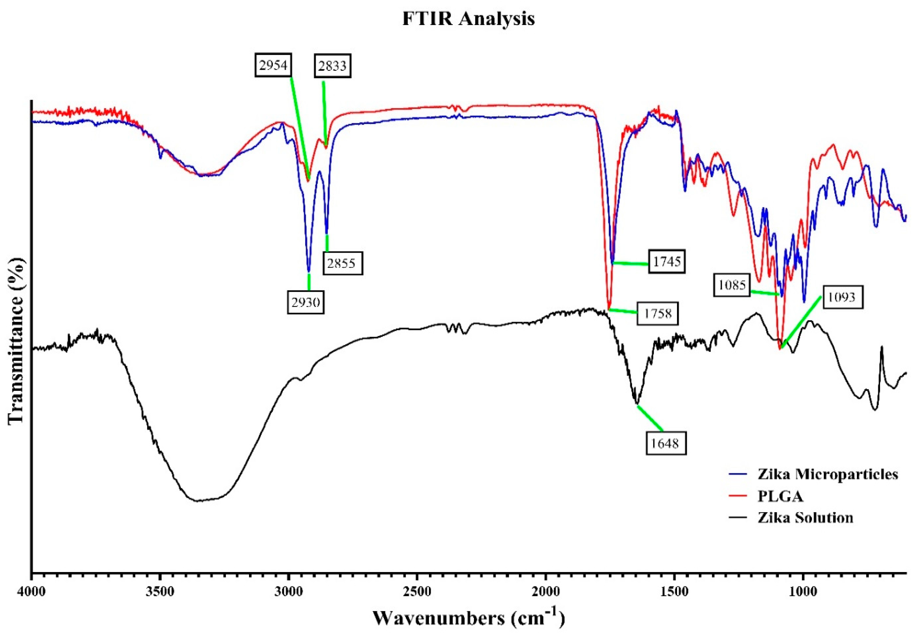 Viruses 16 00865 g005