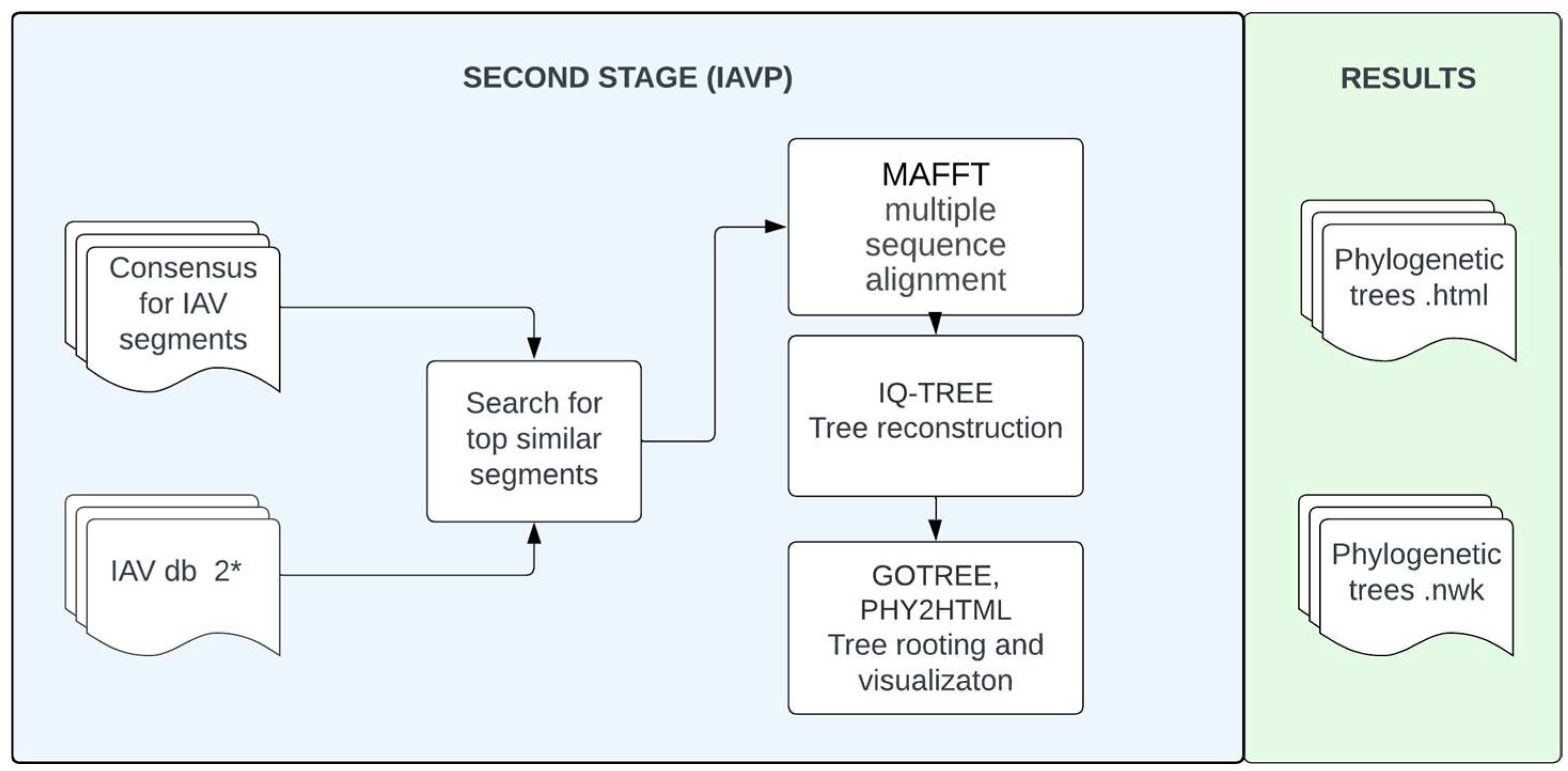 Viruses 16 00873 g002