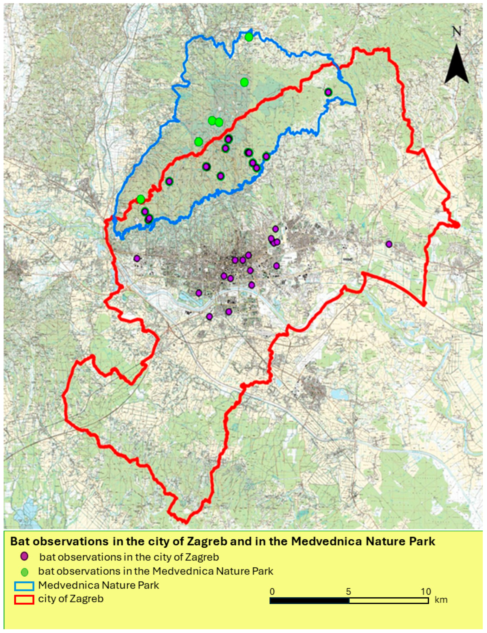 Viruses 16 00876 g002