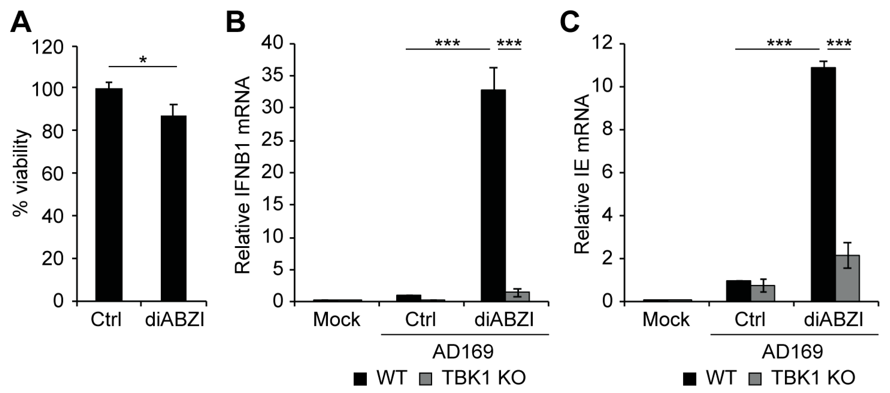 Viruses 16 00877 g006