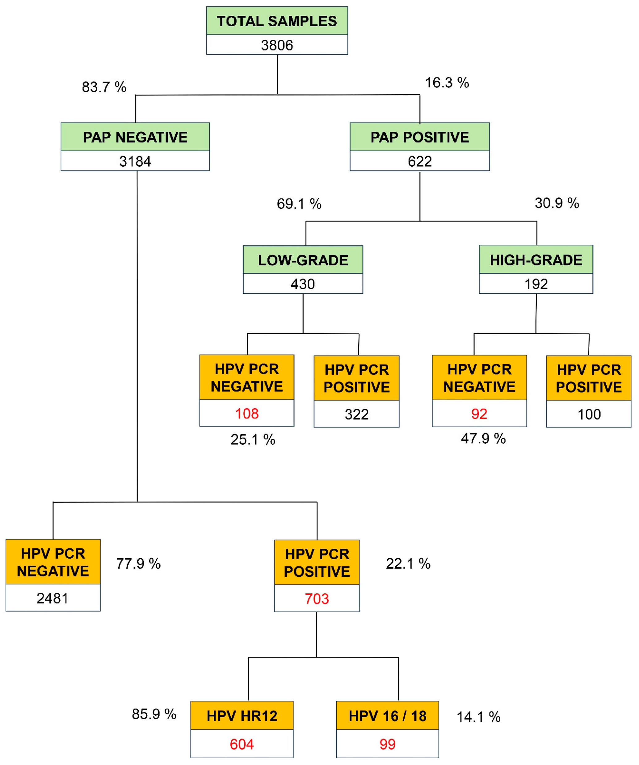 Viruses 16 00887 g002