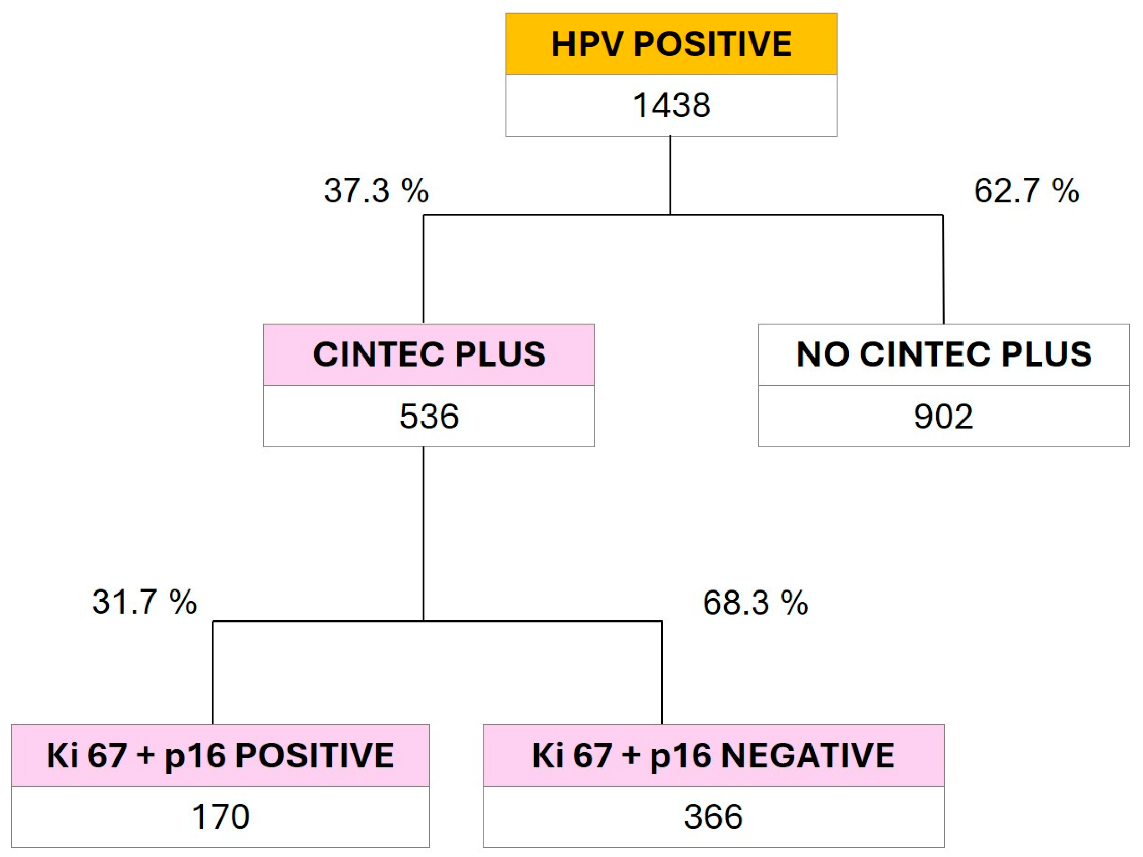 Viruses 16 00887 g003