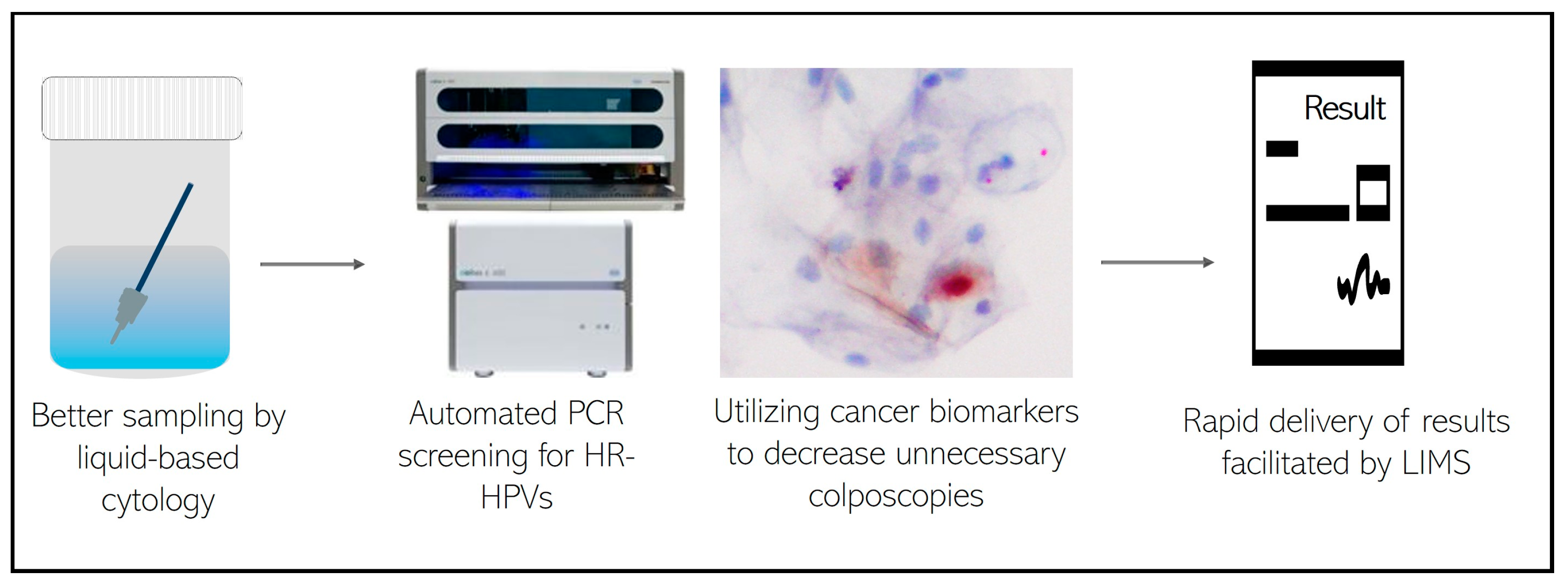 Viruses 16 00887 g004
