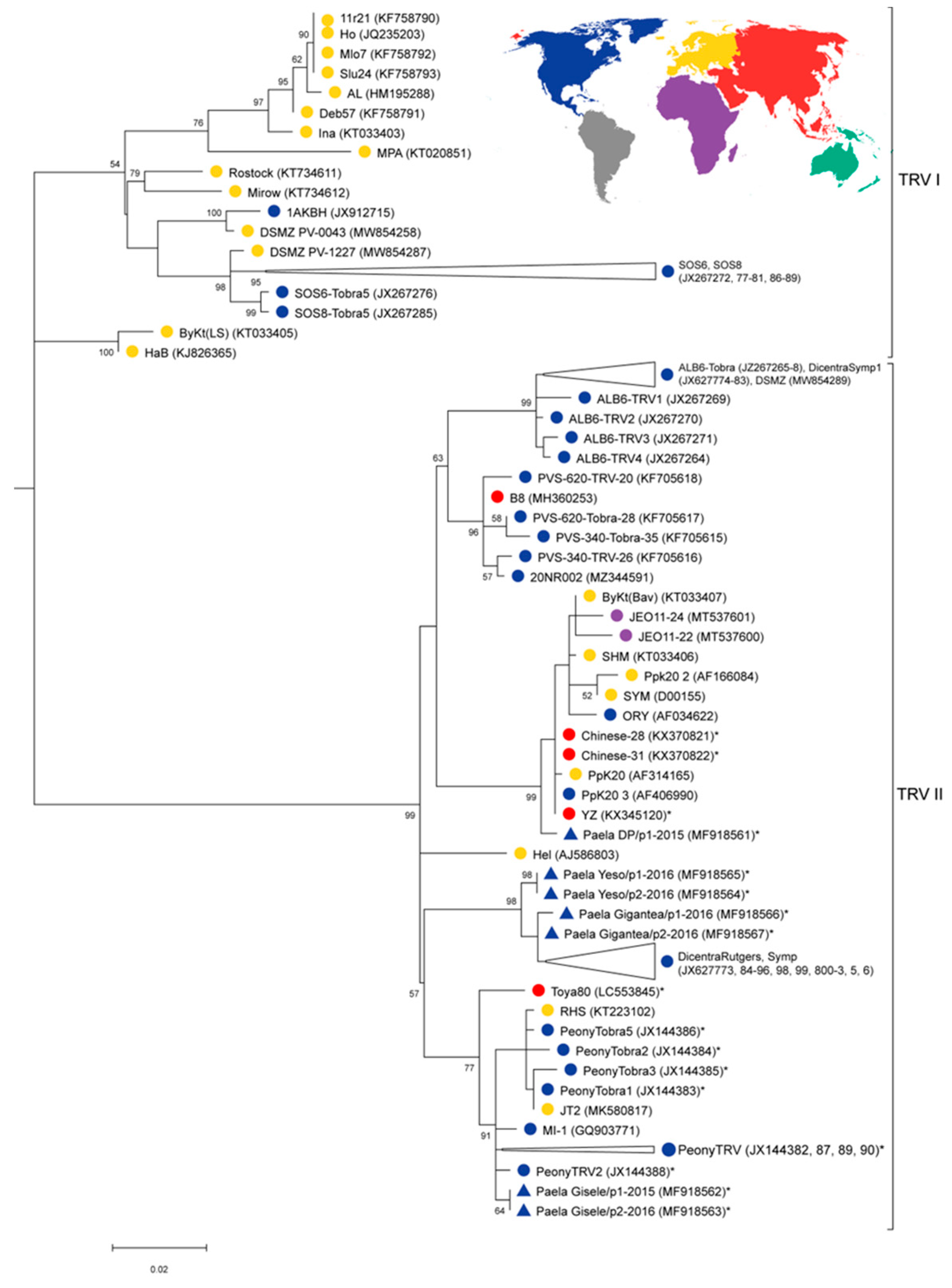 Viruses 16 00893 g002 Viruses 16 00893 g002