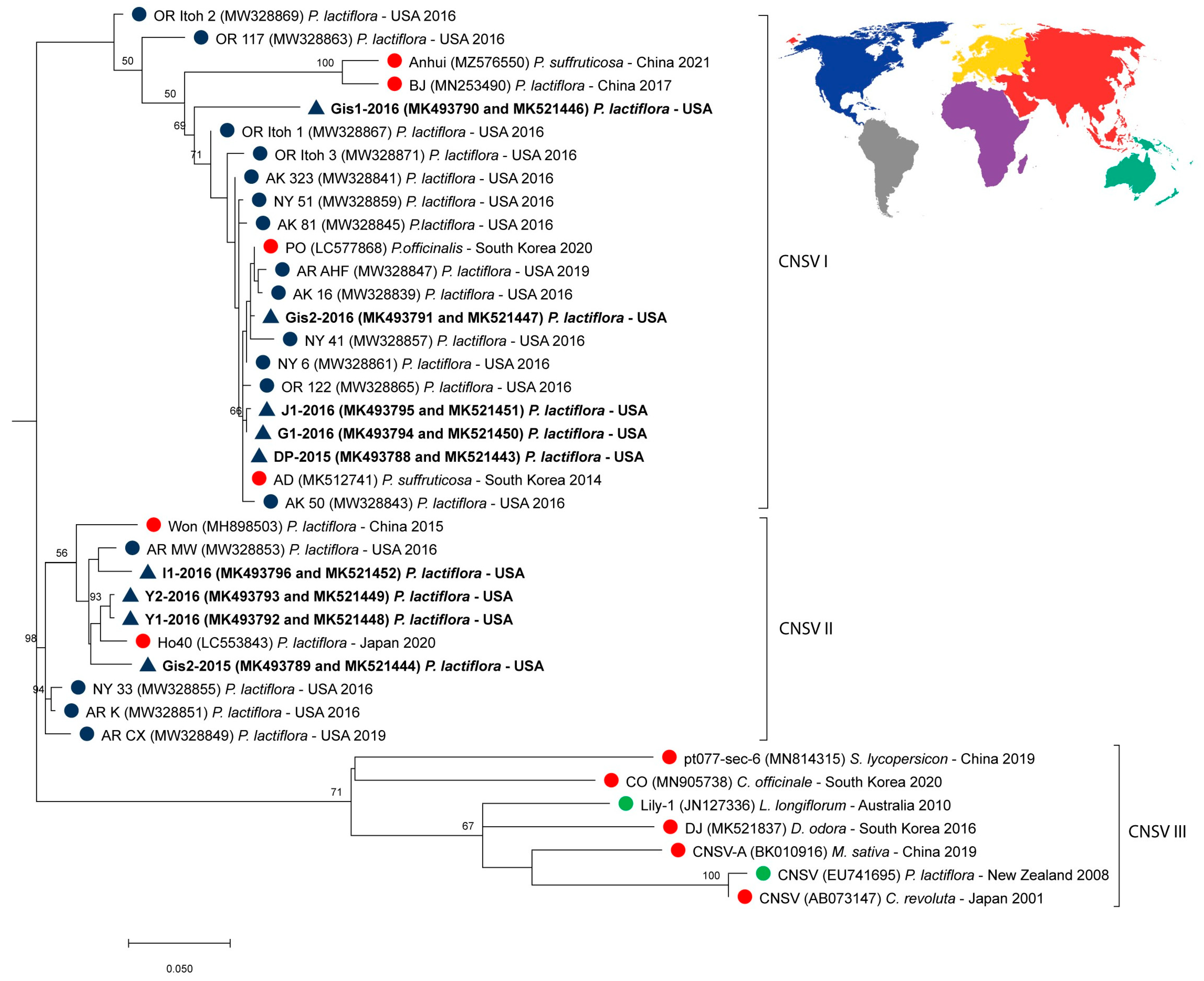Viruses 16 00893 g003 Viruses 16 00893 g003
