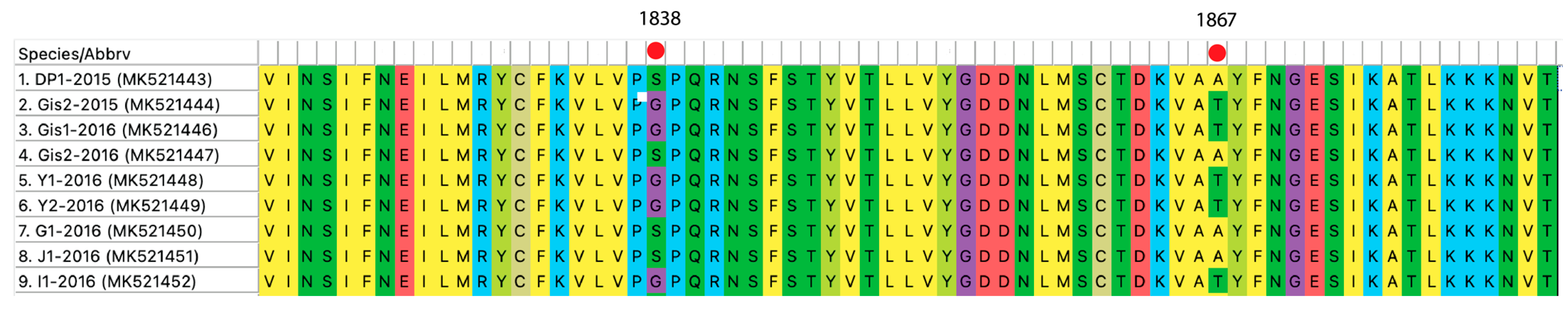 Viruses 16 00893 g004 Viruses 16 00893 g004