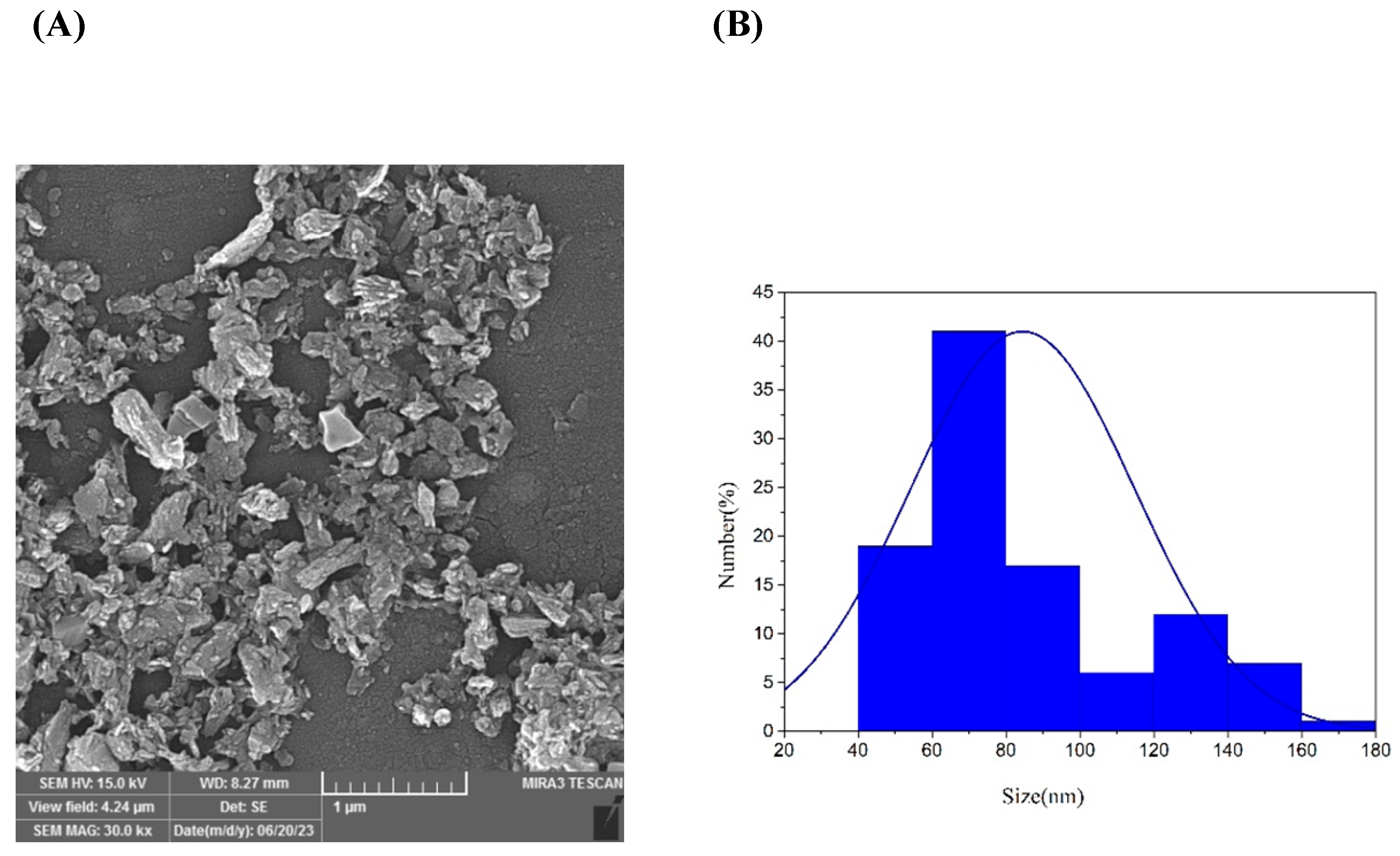 Viruses 16 00897 g001
