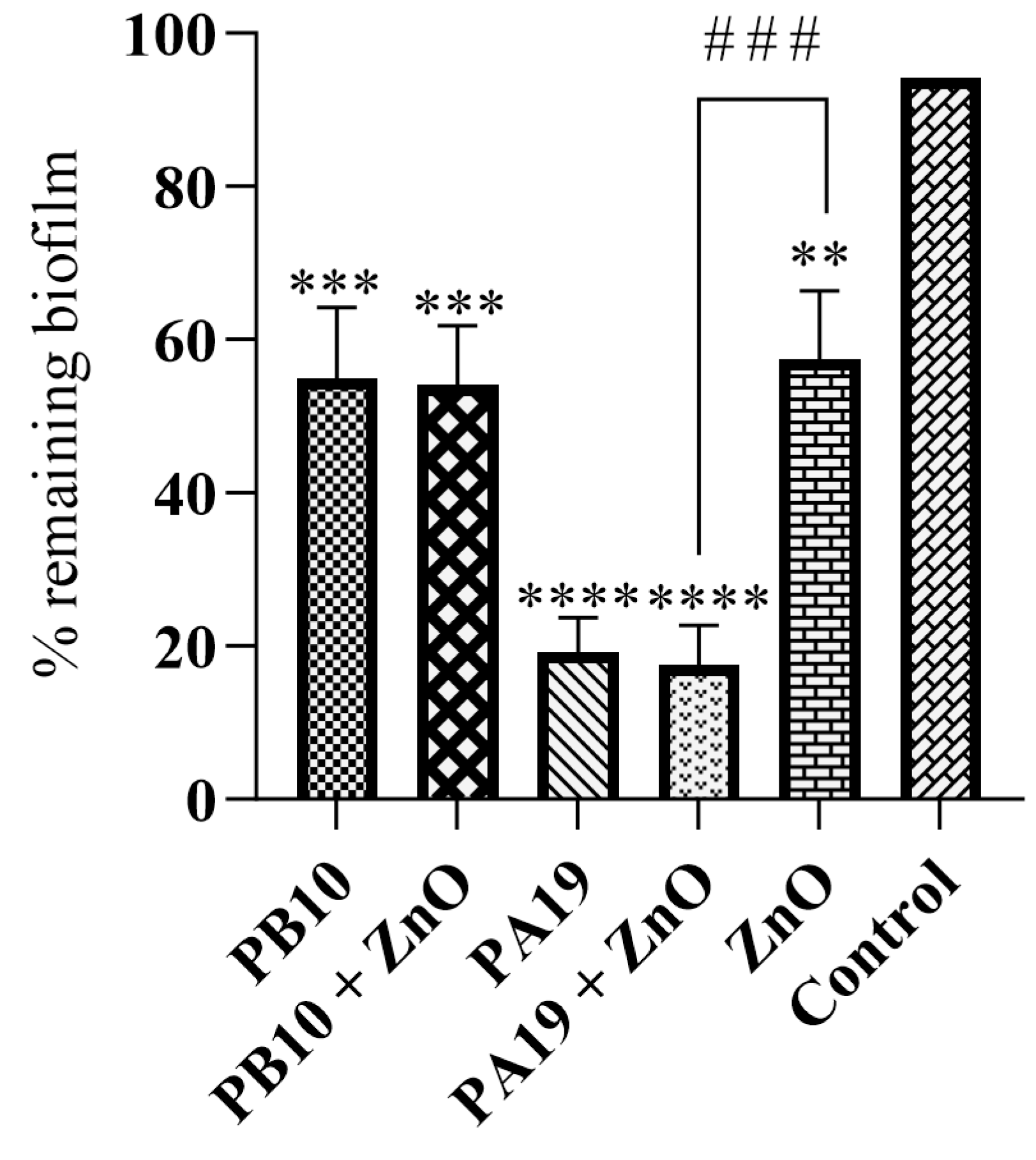 Viruses 16 00897 g003