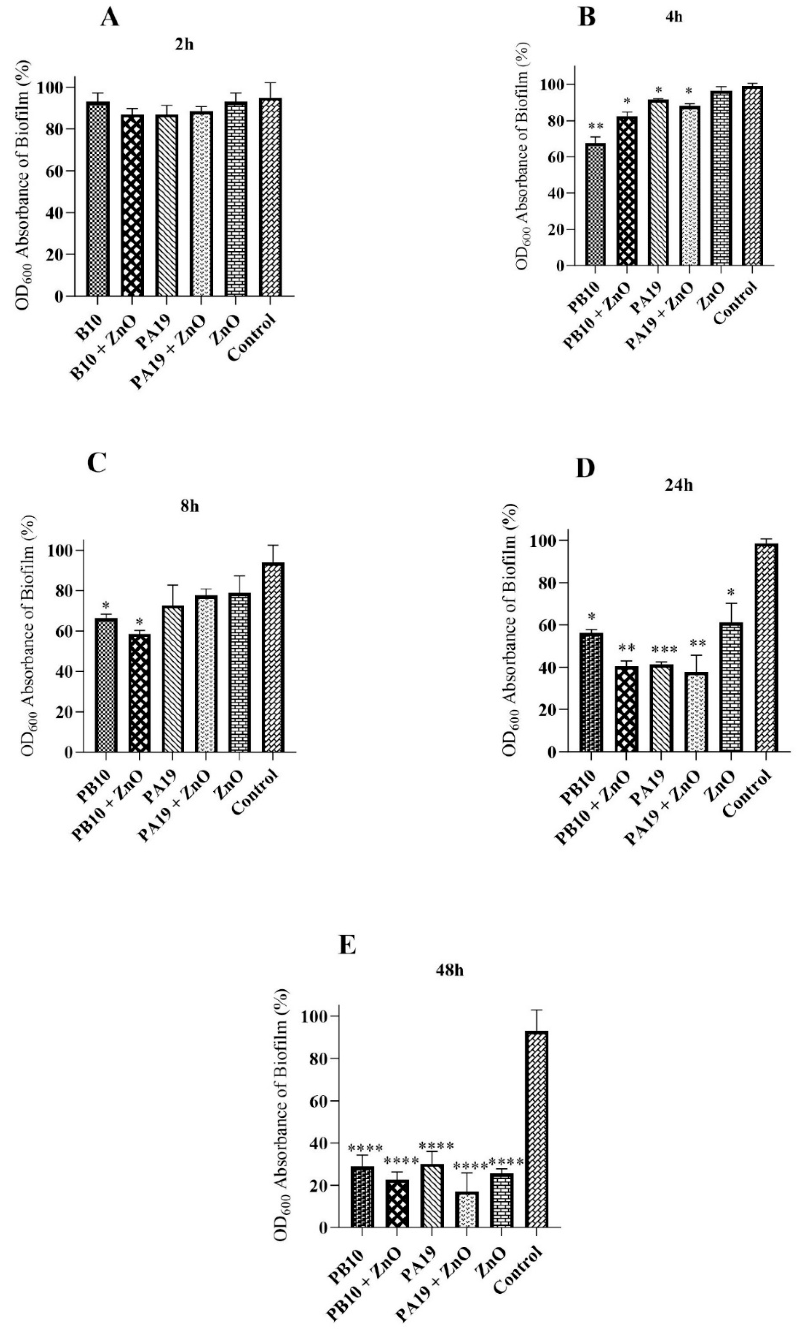 Viruses 16 00897 g004