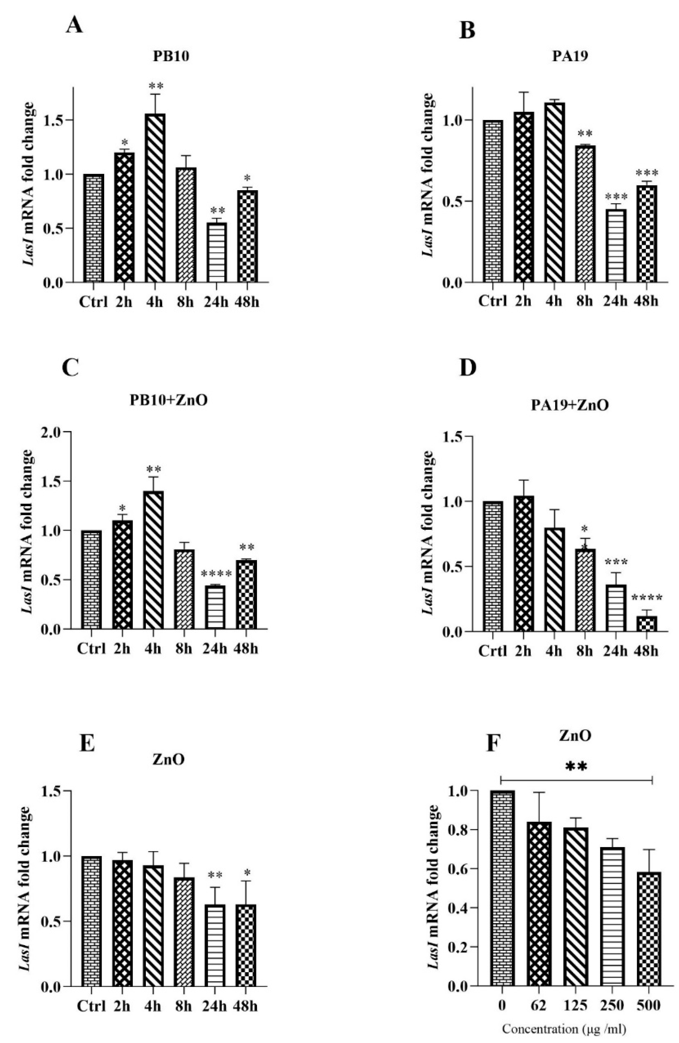 Viruses 16 00897 g005