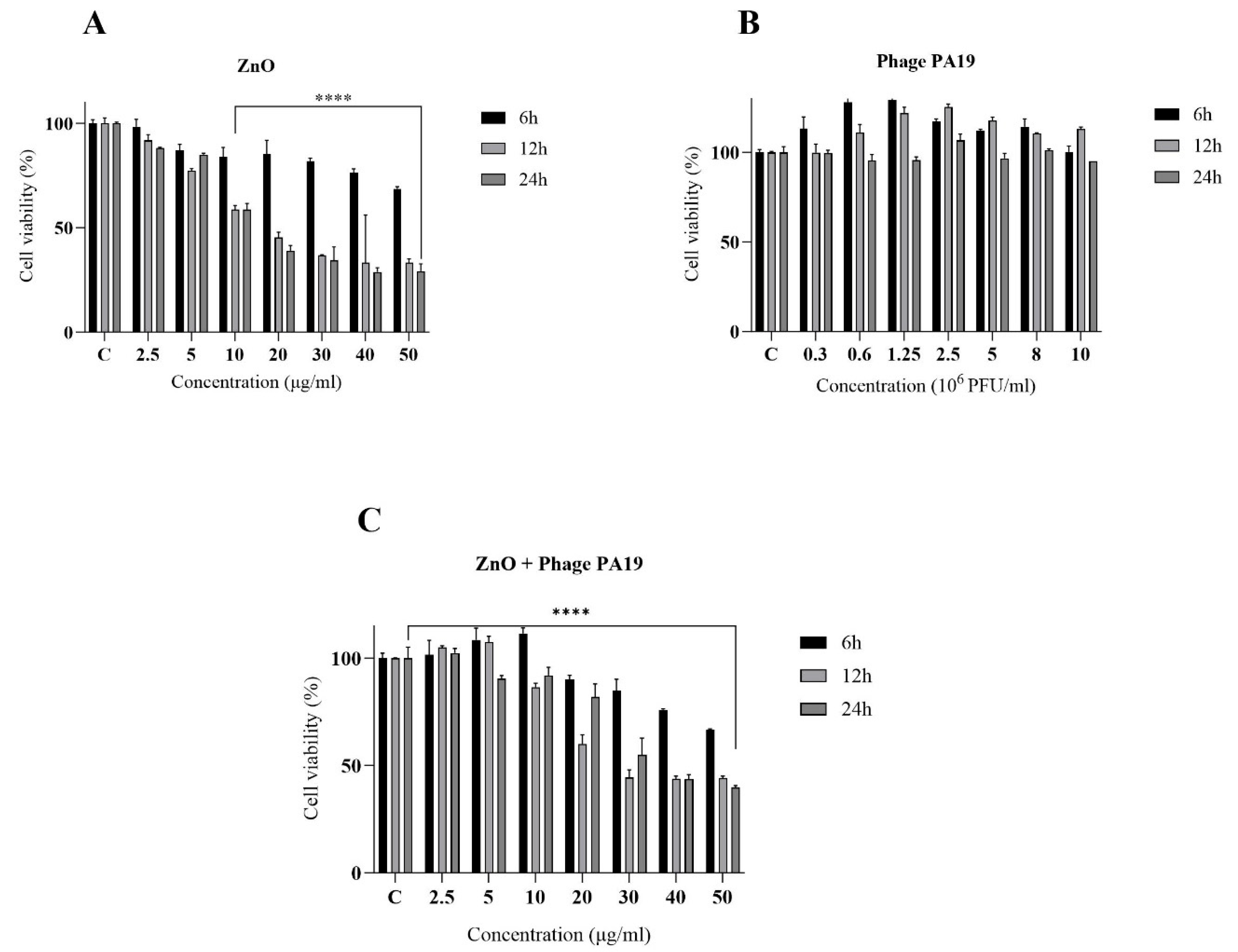 Viruses 16 00897 g006
