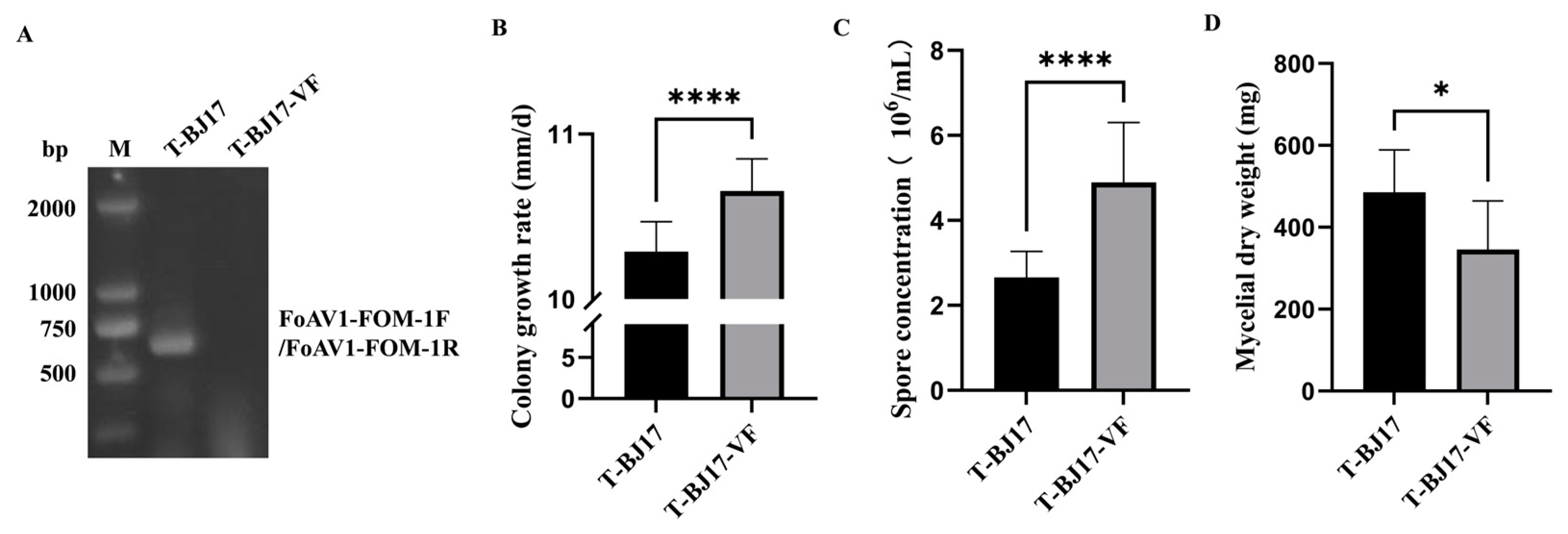 Viruses 16 00901 g002