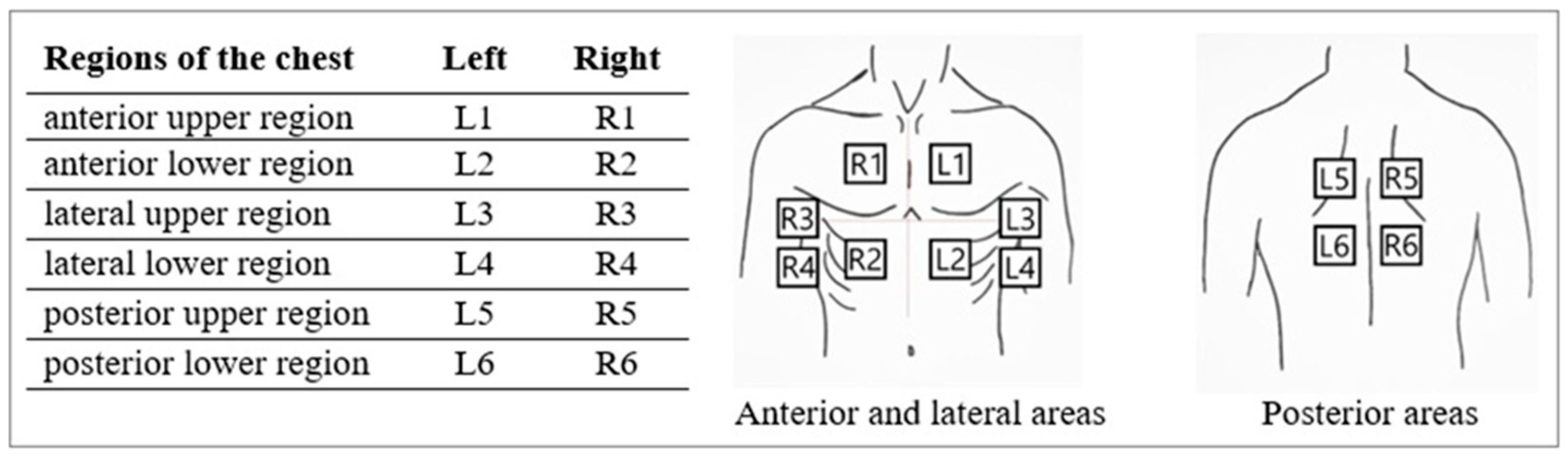 Viruses 16 00905 g001