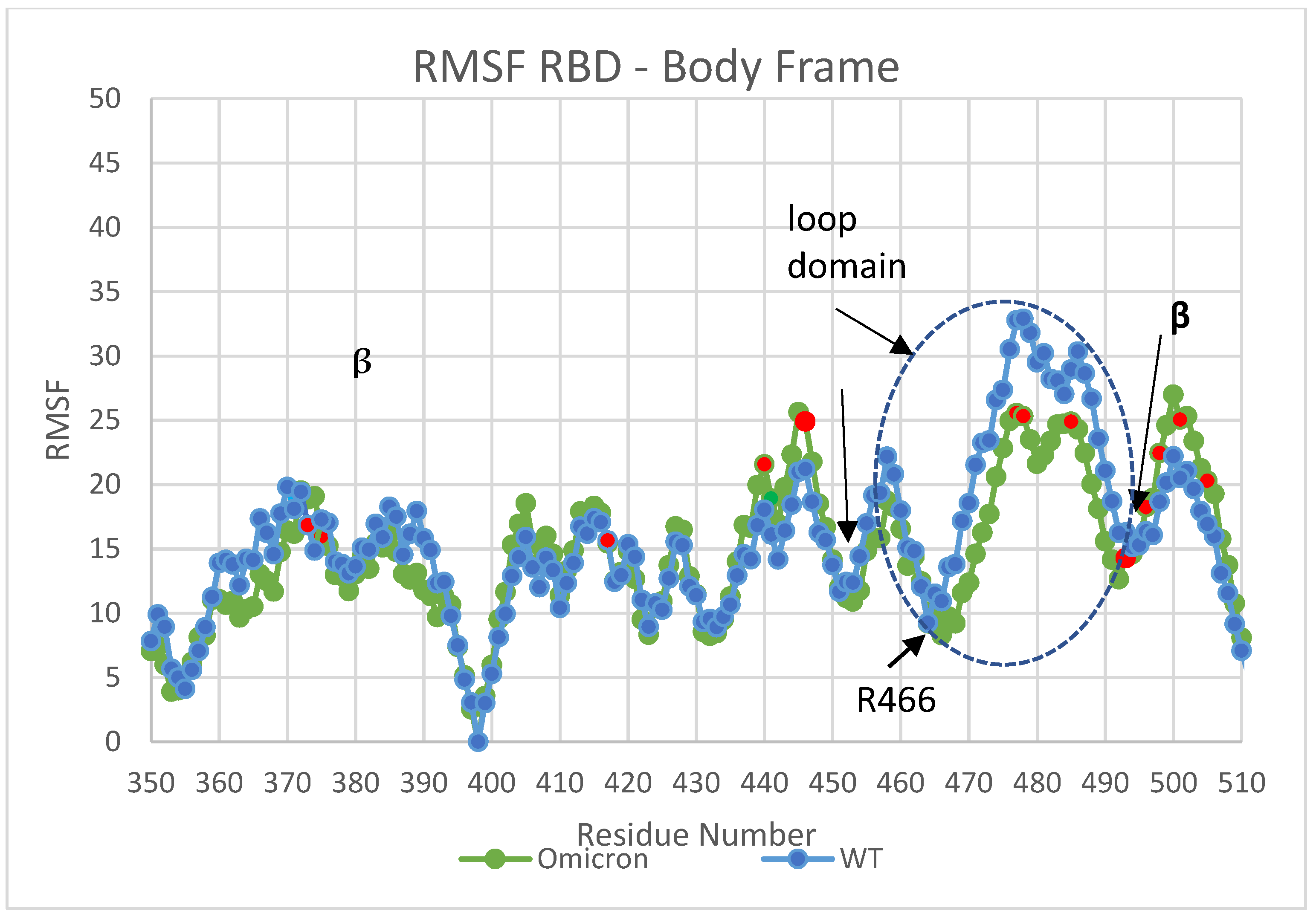 Viruses 16 00912 g002