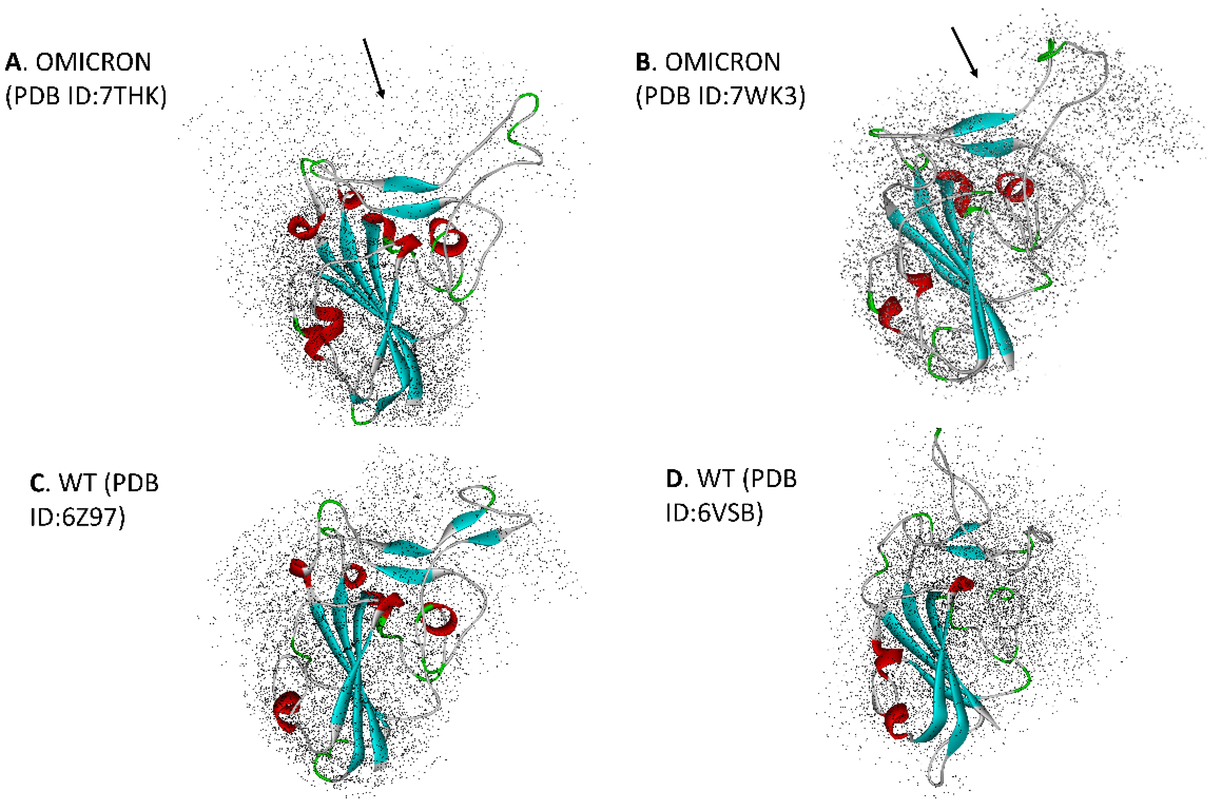 Viruses 16 00912 g003