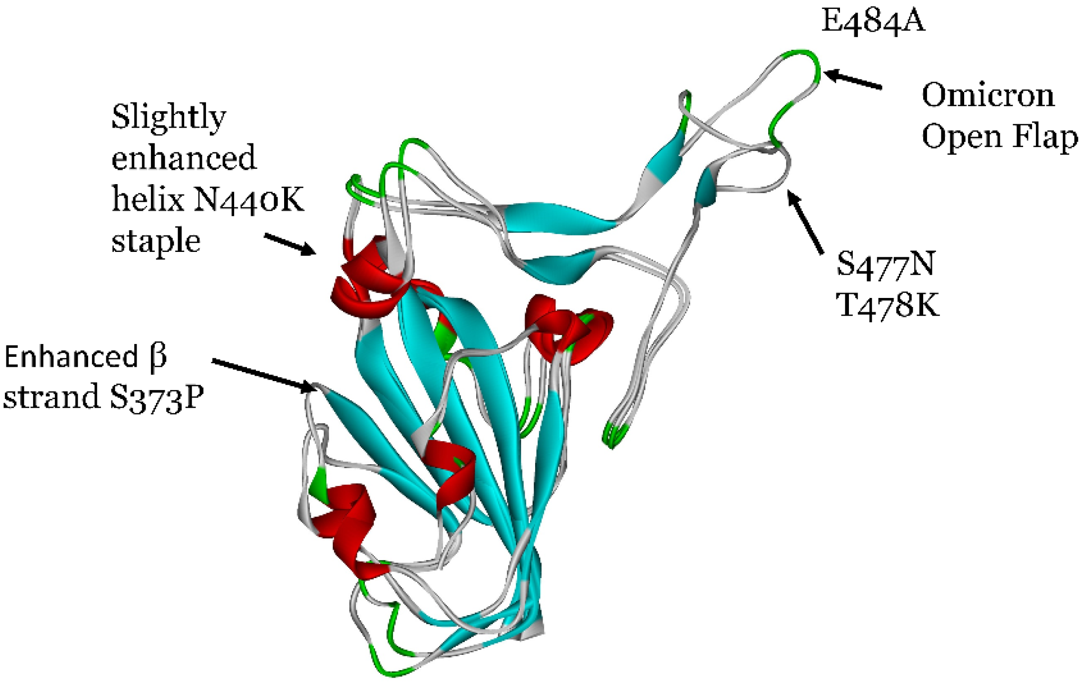 Viruses 16 00912 g007