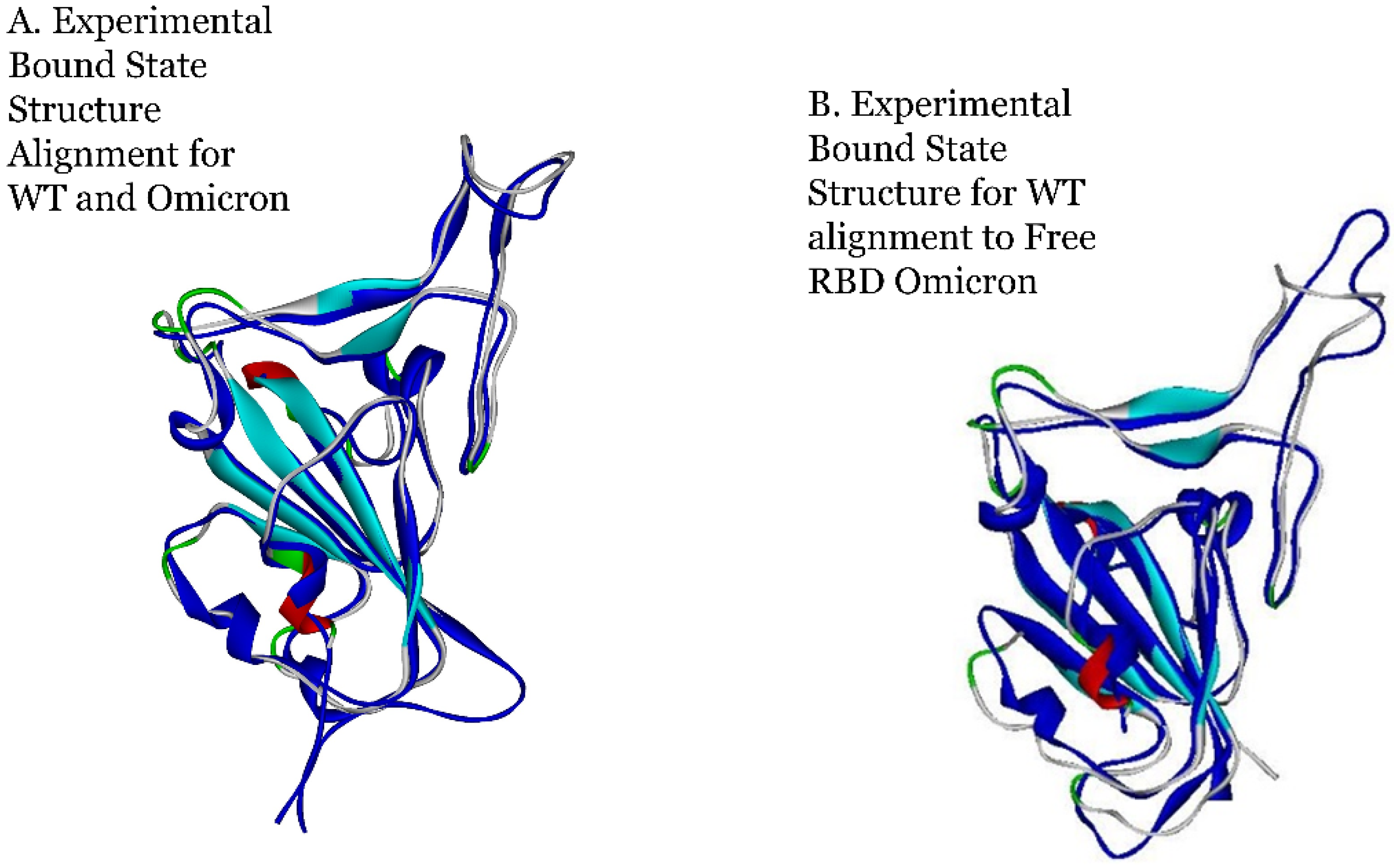 Viruses 16 00912 g009