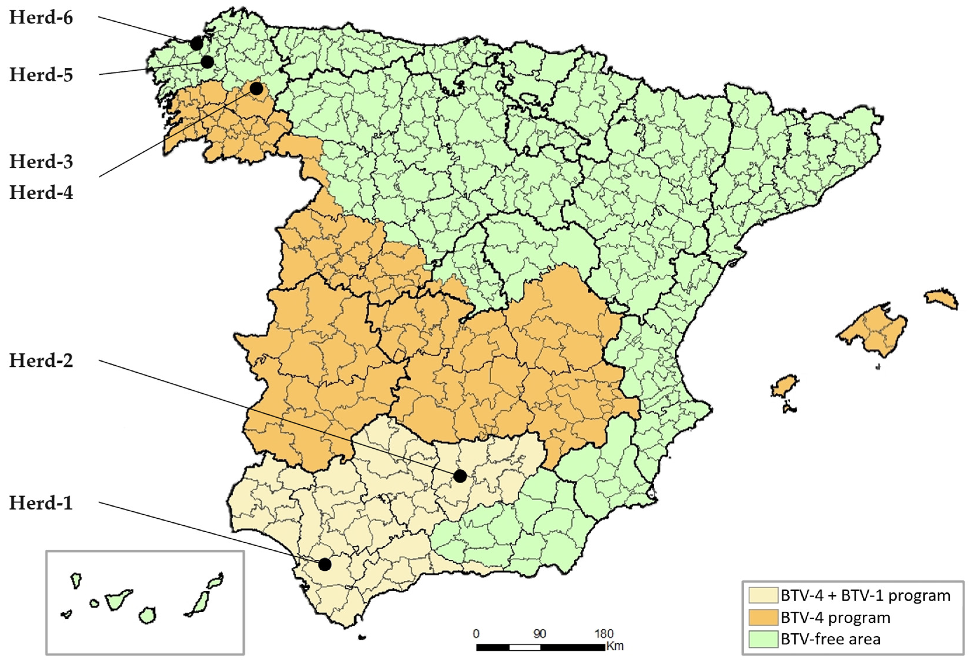 Viruses 16 00915 g001