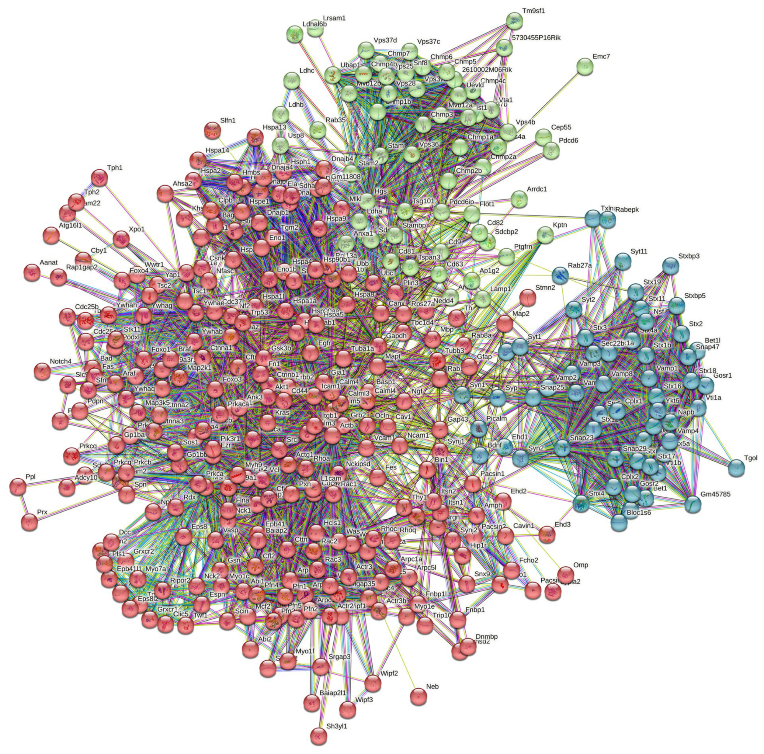 Viruses 16 00916 g007