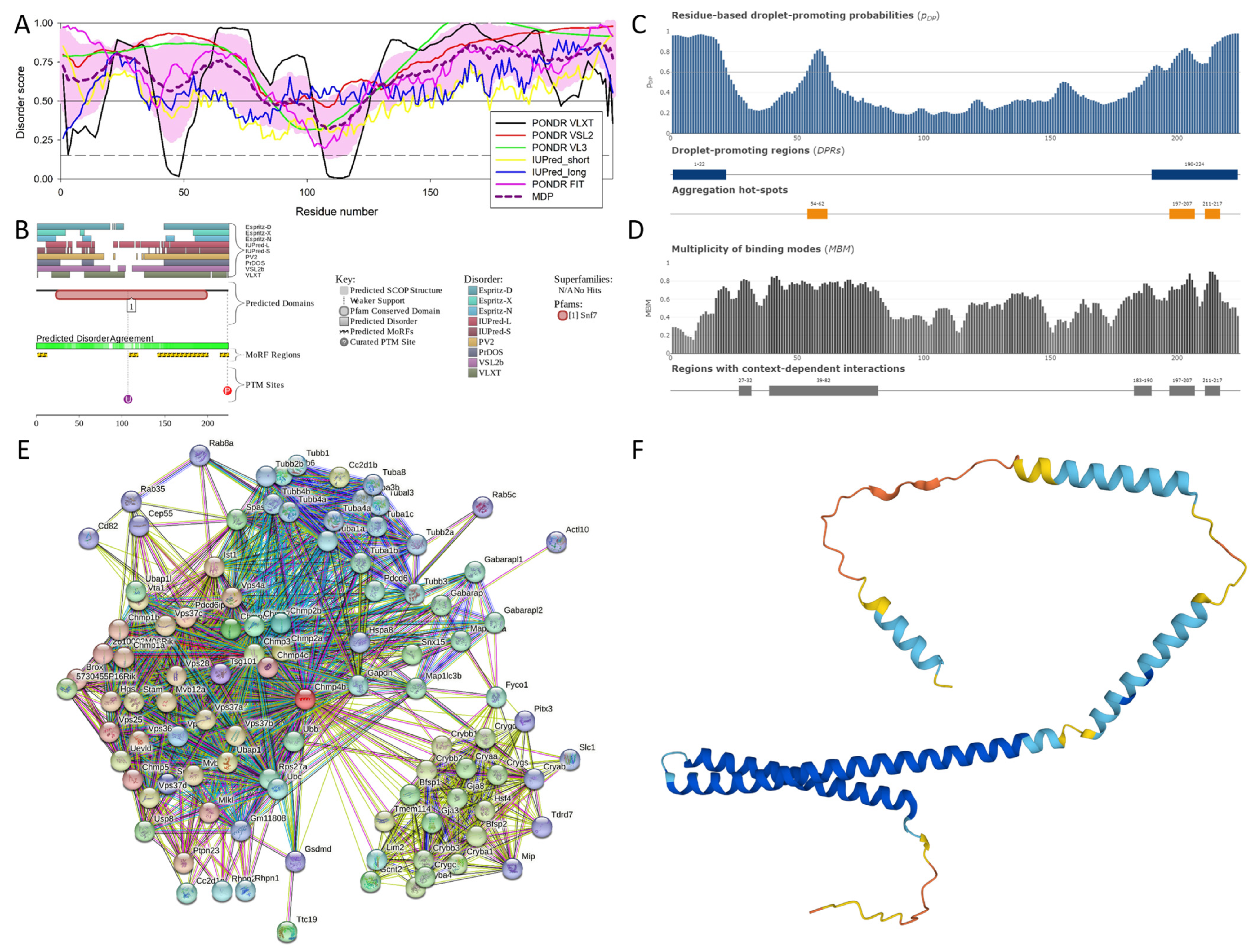Viruses 16 00916 g0a1