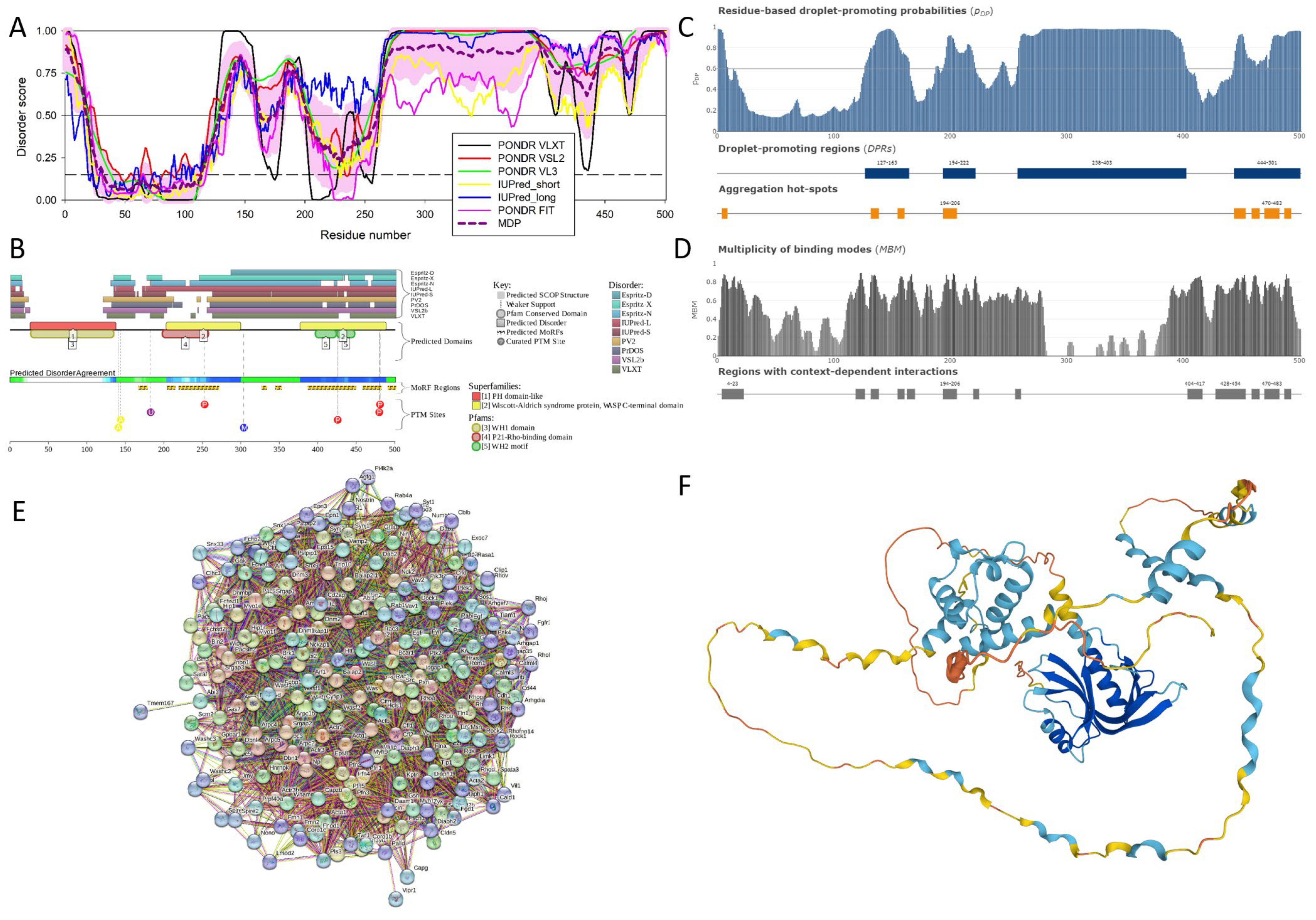 Viruses 16 00916 g0a5