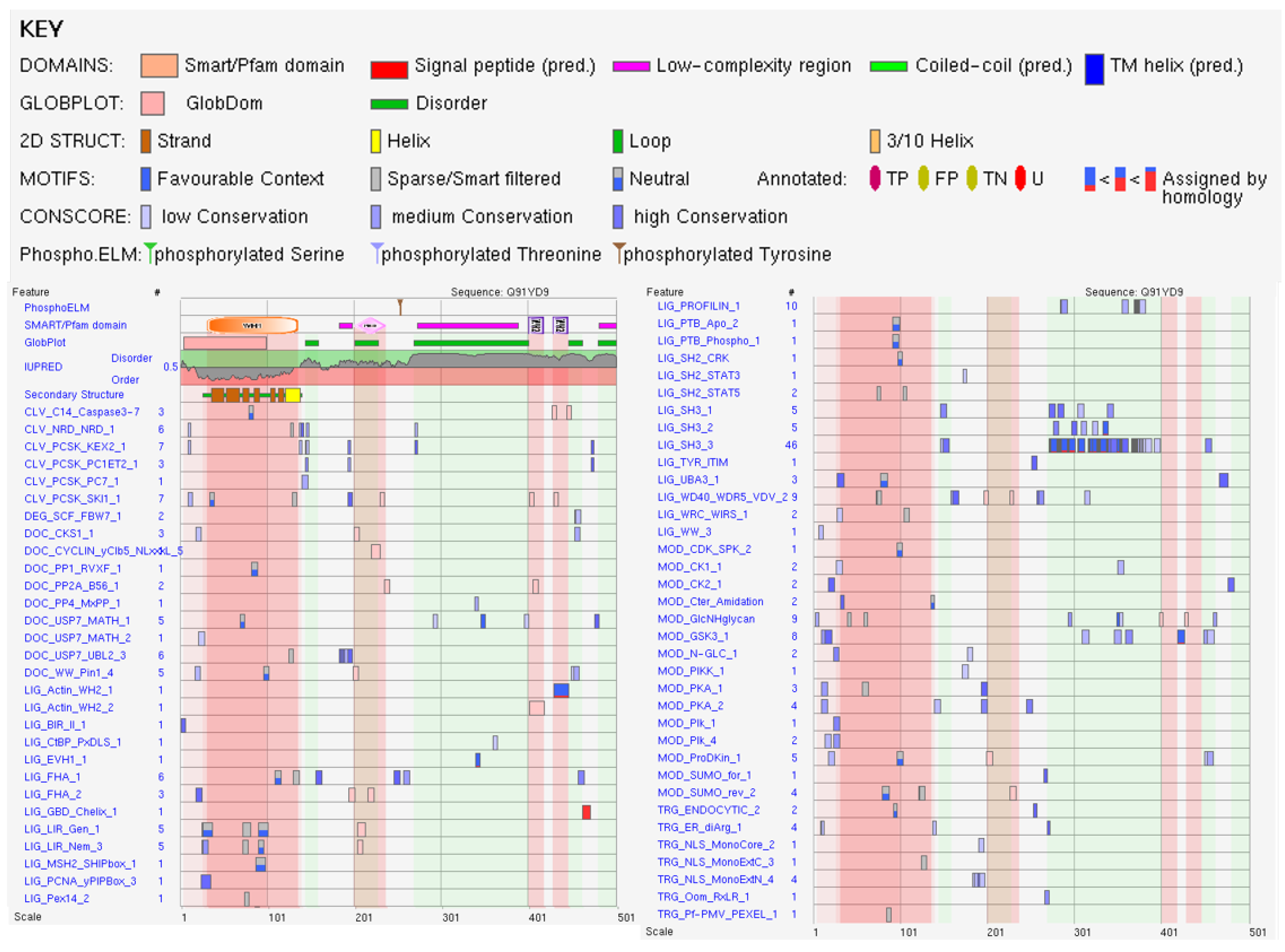 Viruses 16 00916 g0a6
