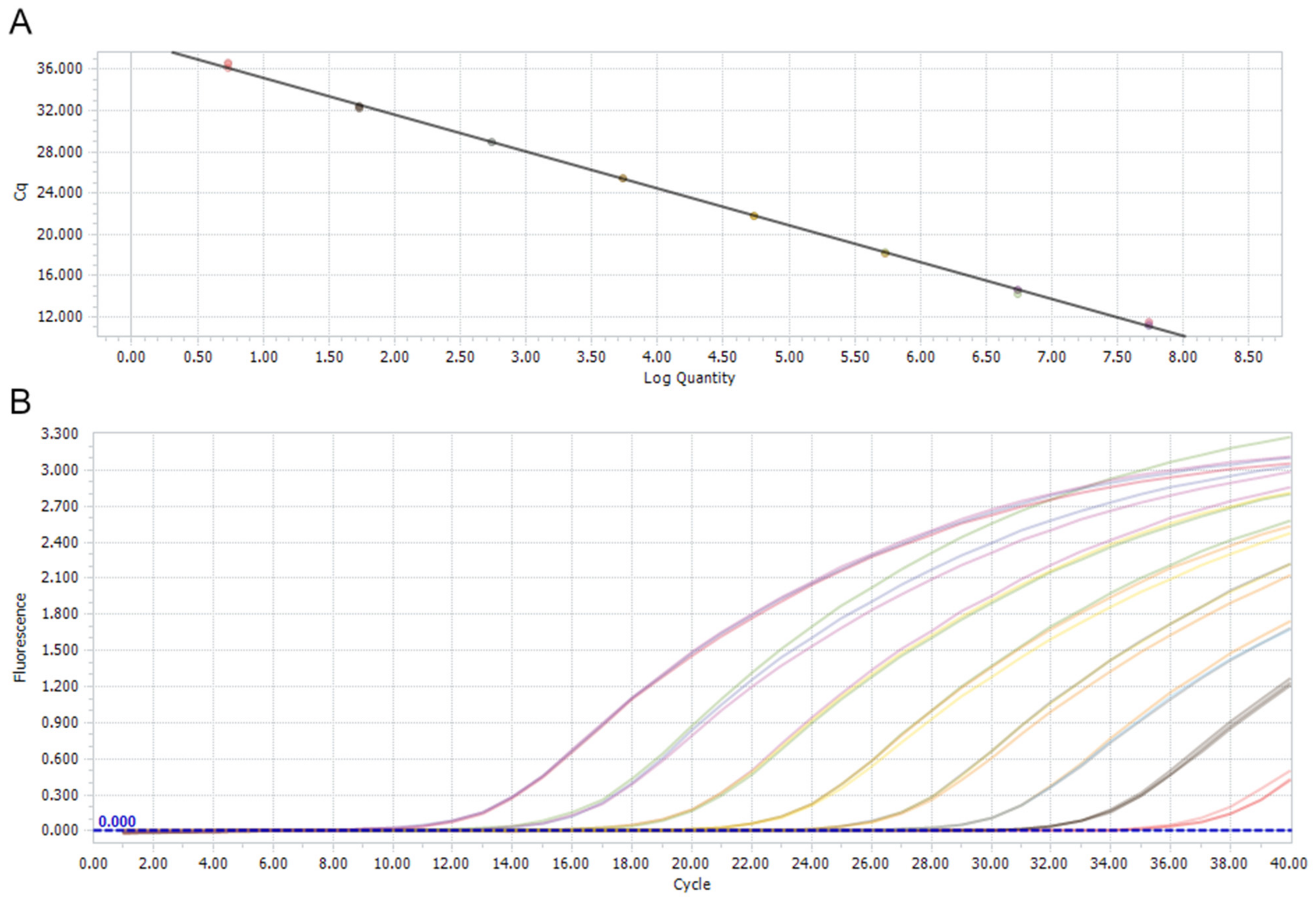 Viruses 16 00917 g001