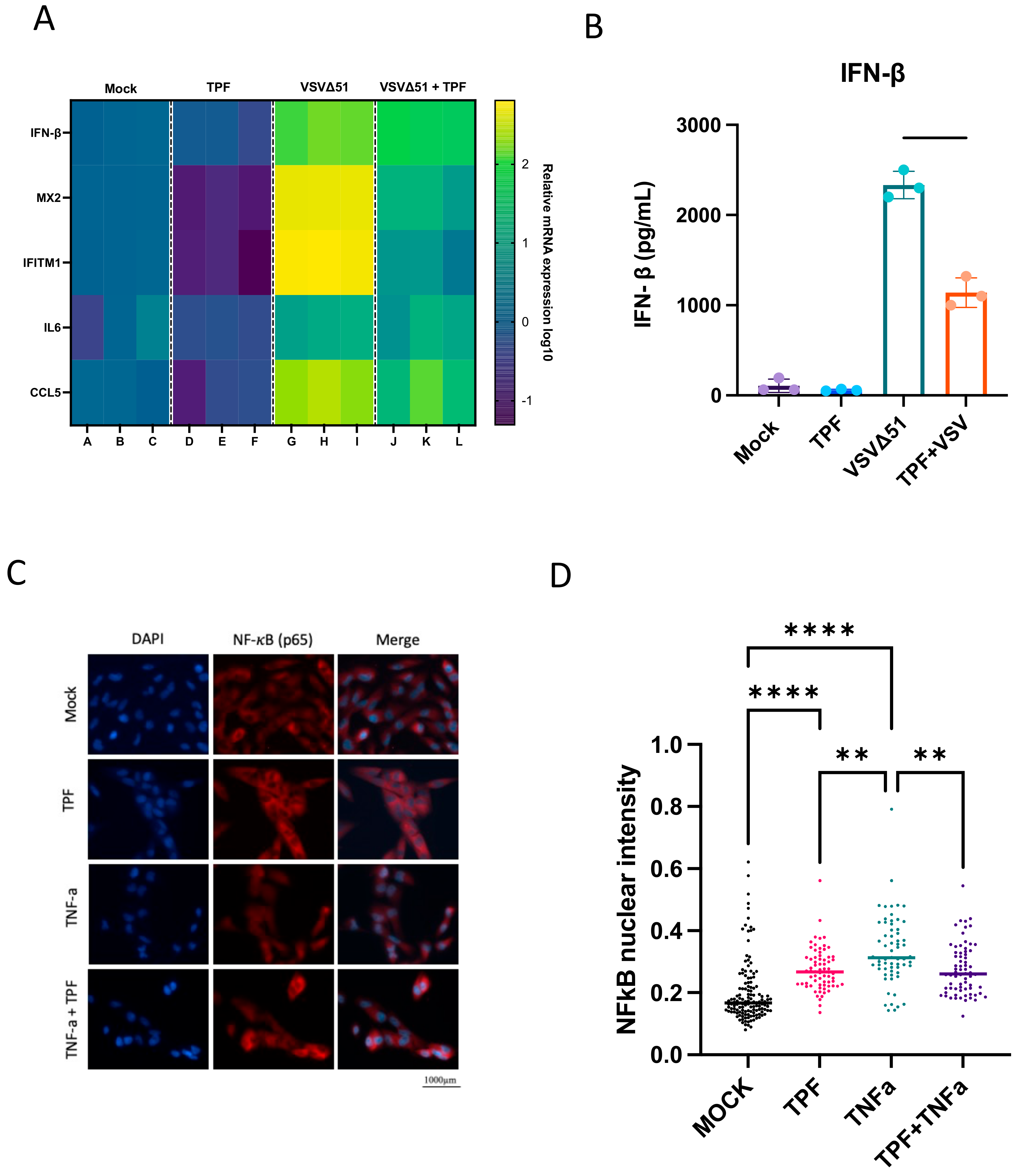 Viruses 16 00920 g004