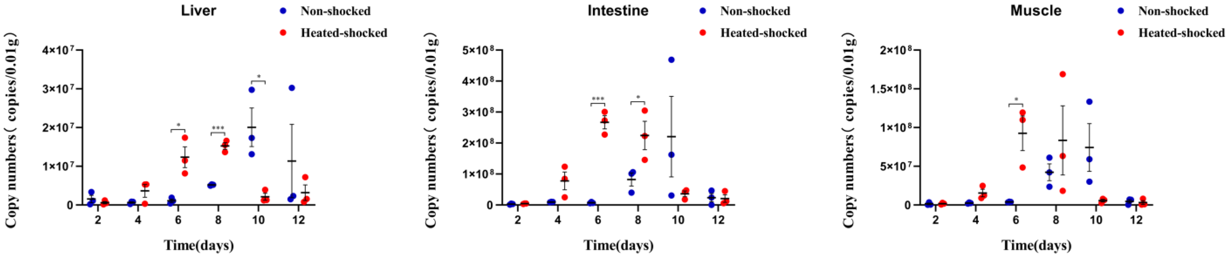 Viruses 16 00921 g007