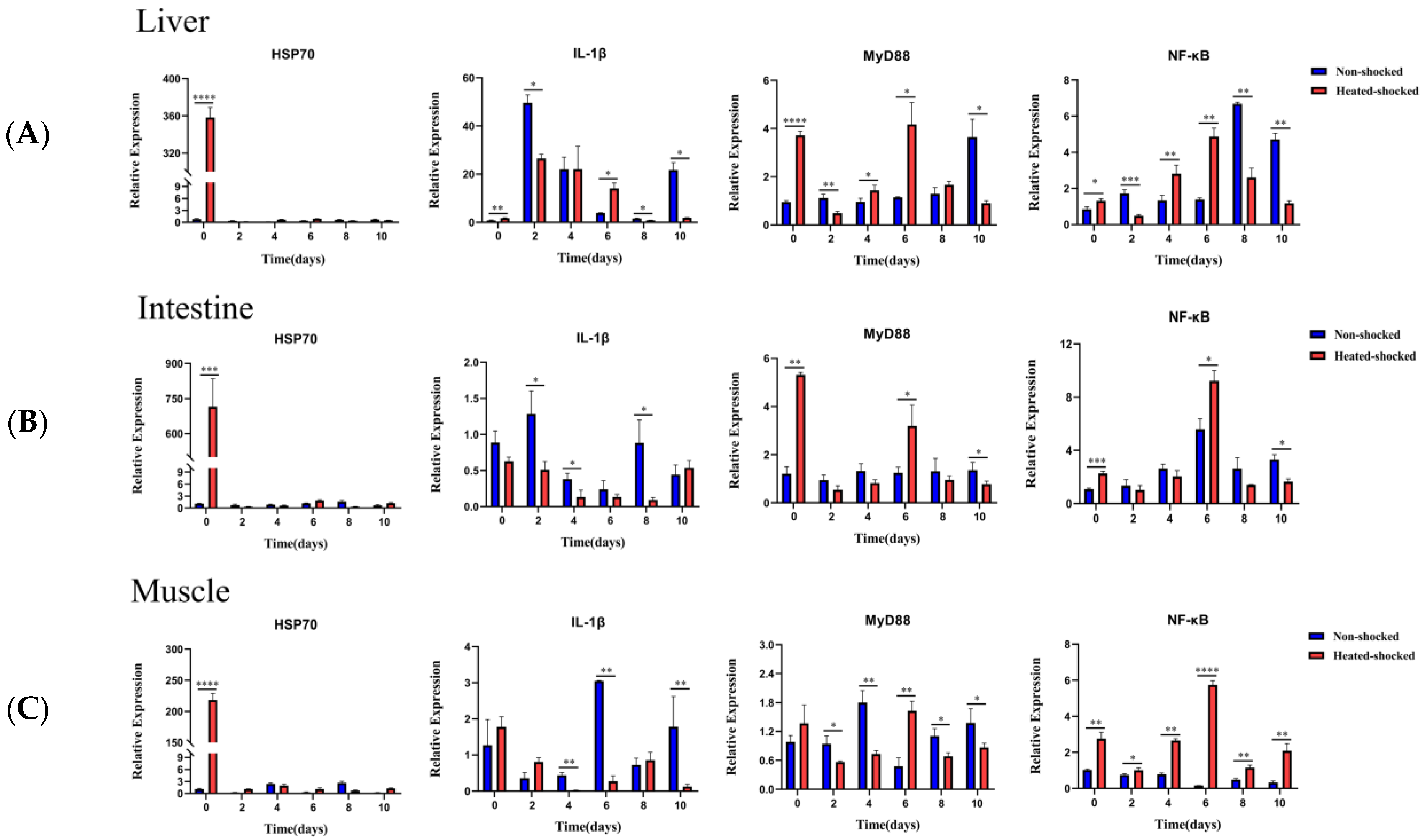Viruses 16 00921 g009